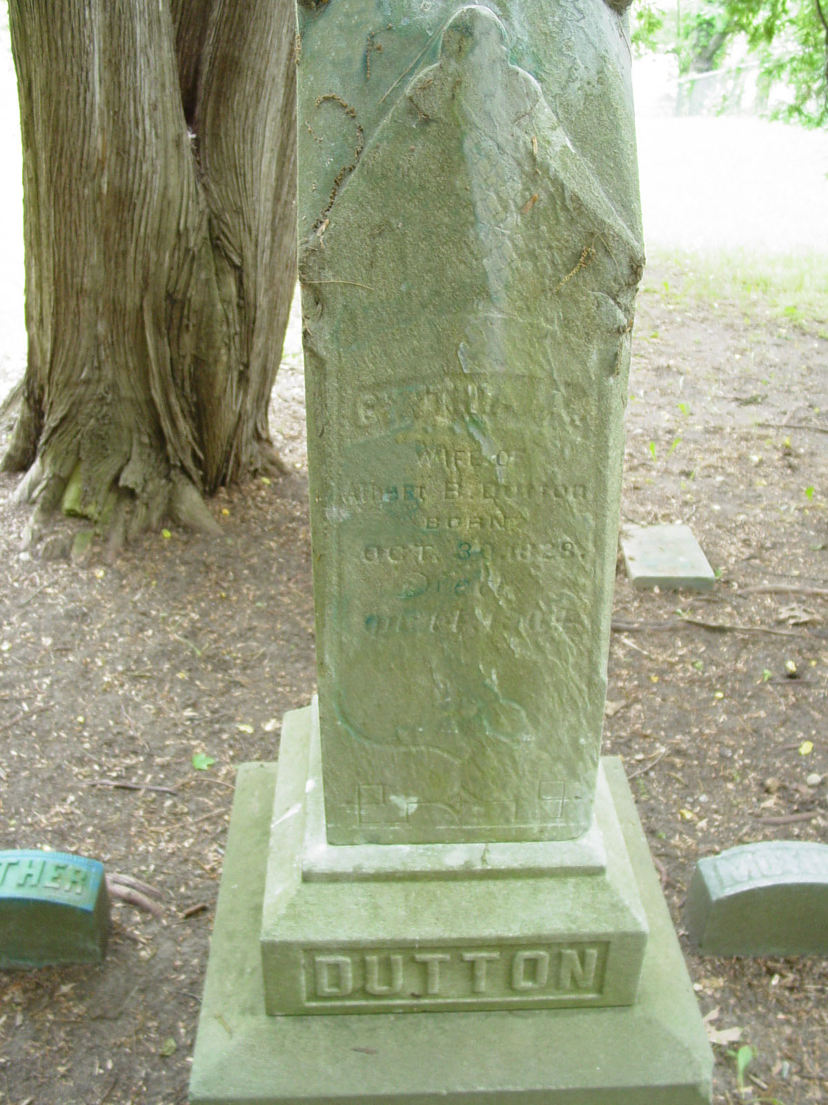 Portrait of Cynthia A.  Clark