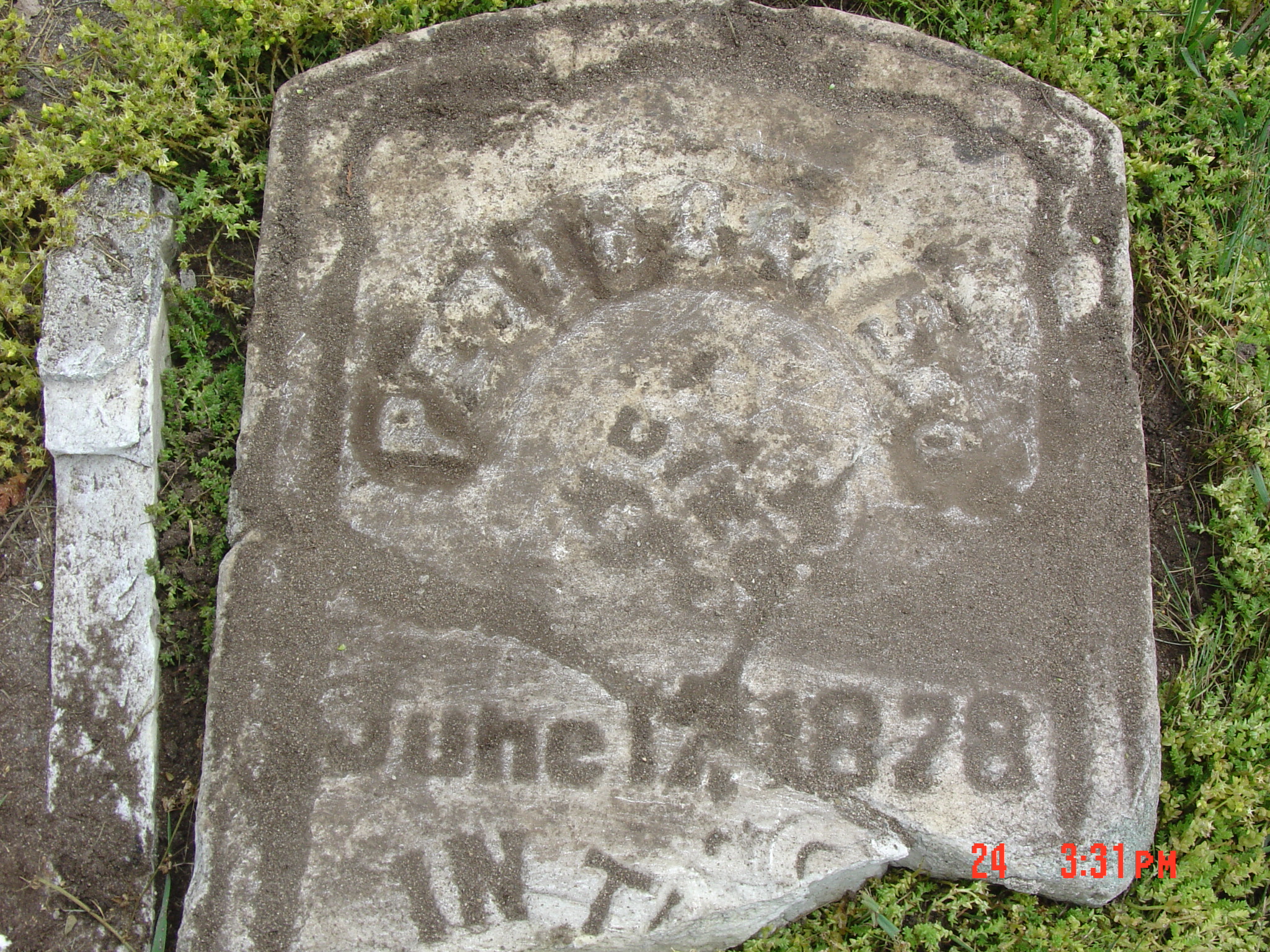 Portrait of Peter  Day