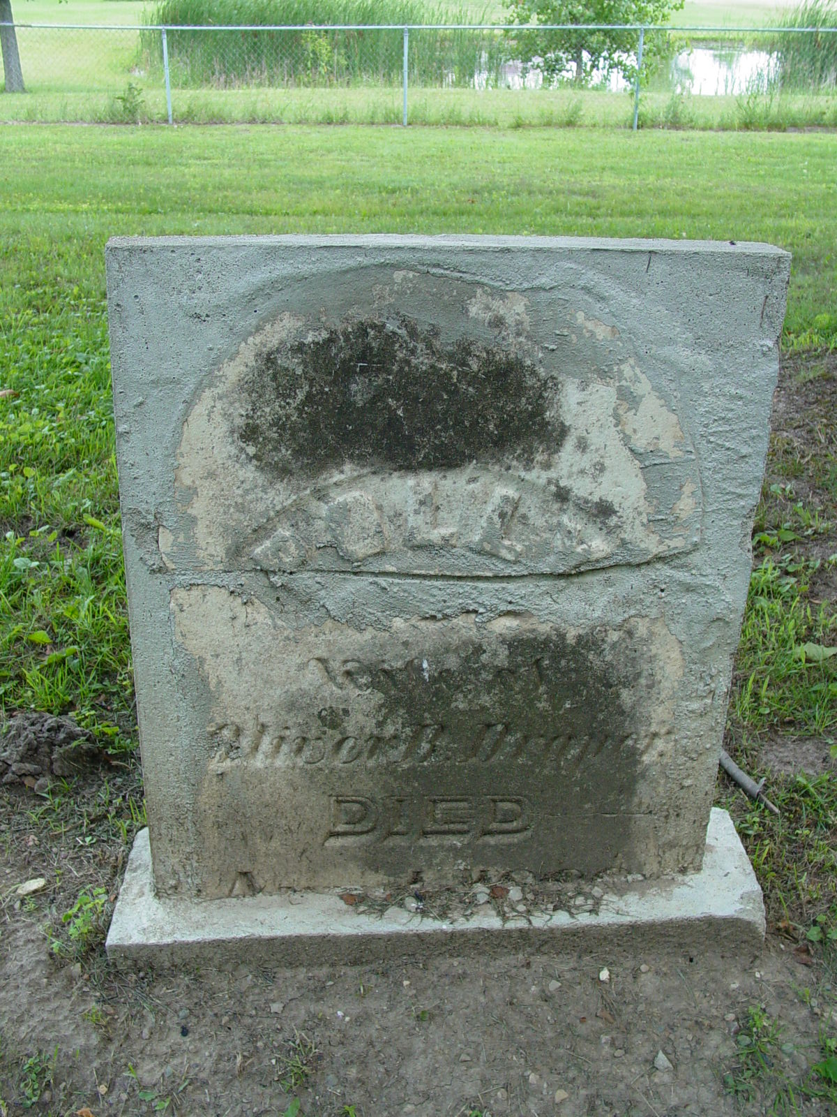 Portrait of Polly  Bennett