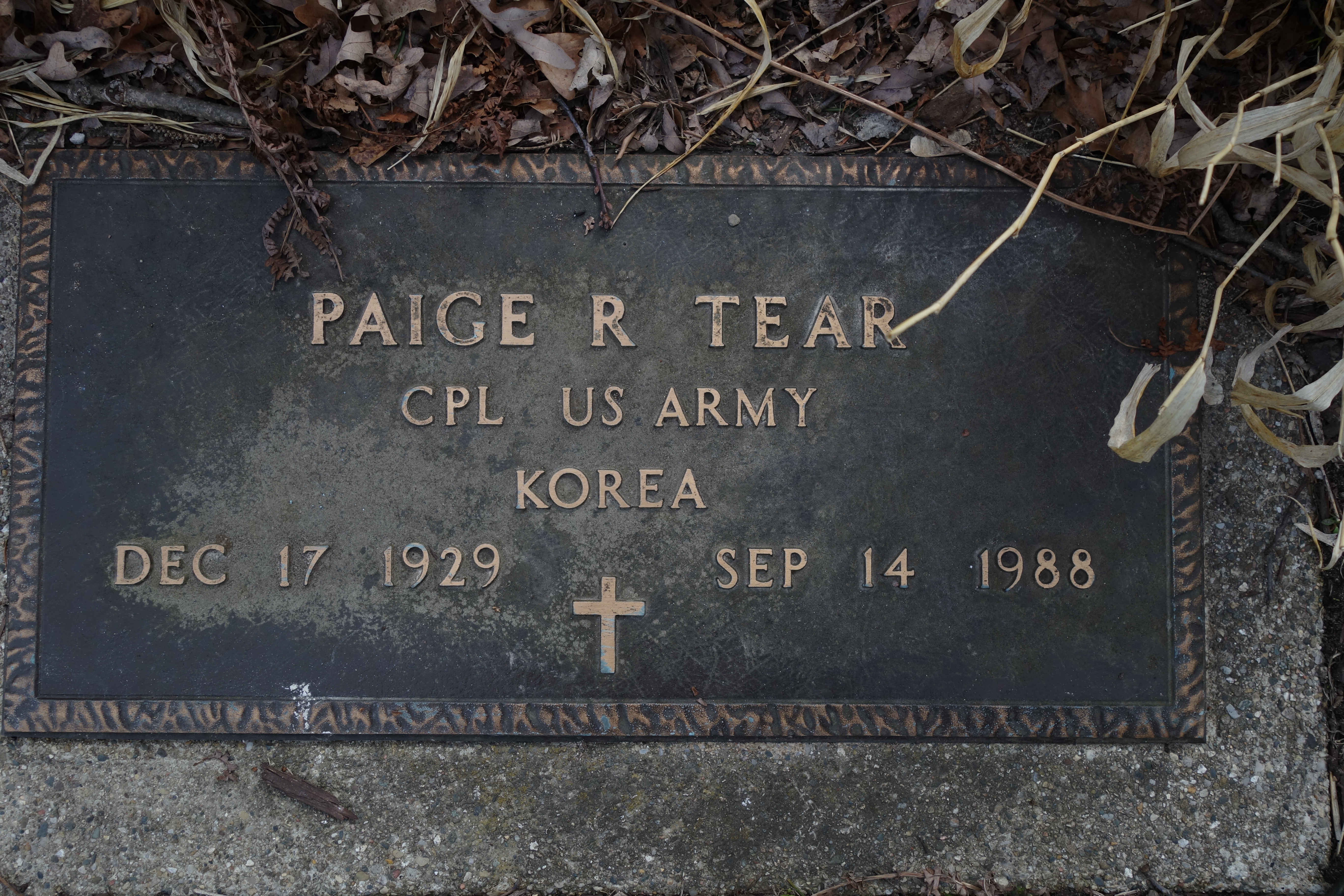 Portrait of Paige R. Tear