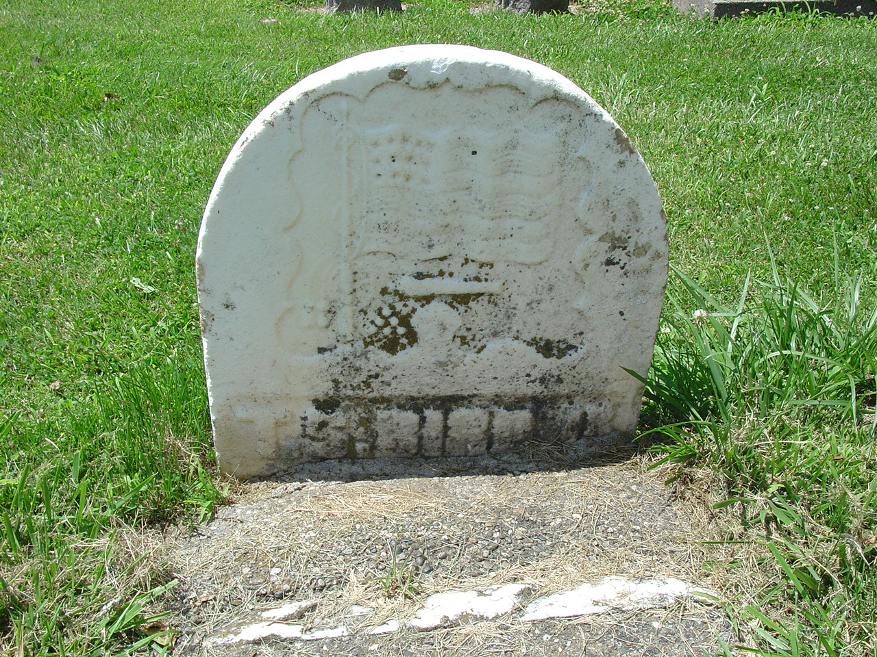 Portrait of Thomas Stewart Bird