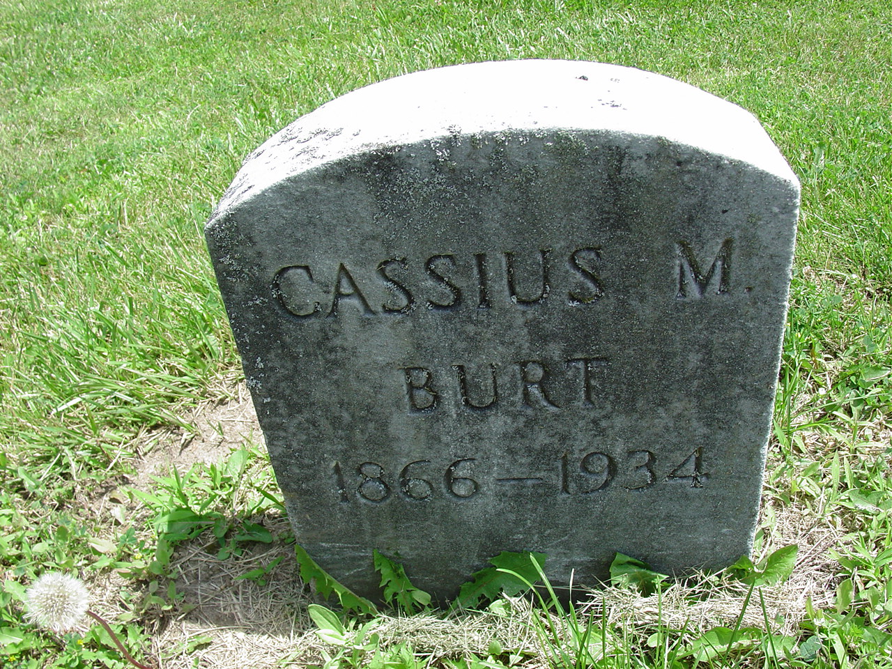 Portrait of Cassius M. Burt