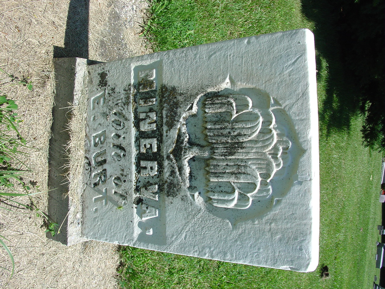 Portrait of Minerva Burt