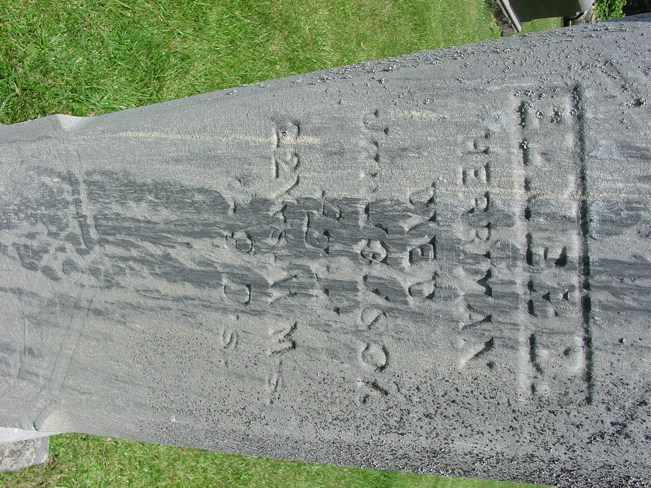 Portrait of Elmer D. Herriman