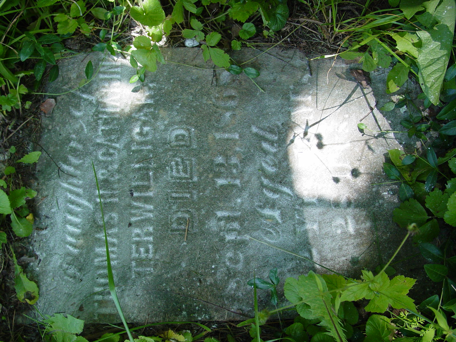 Portrait of Mary Idah Terwilligar