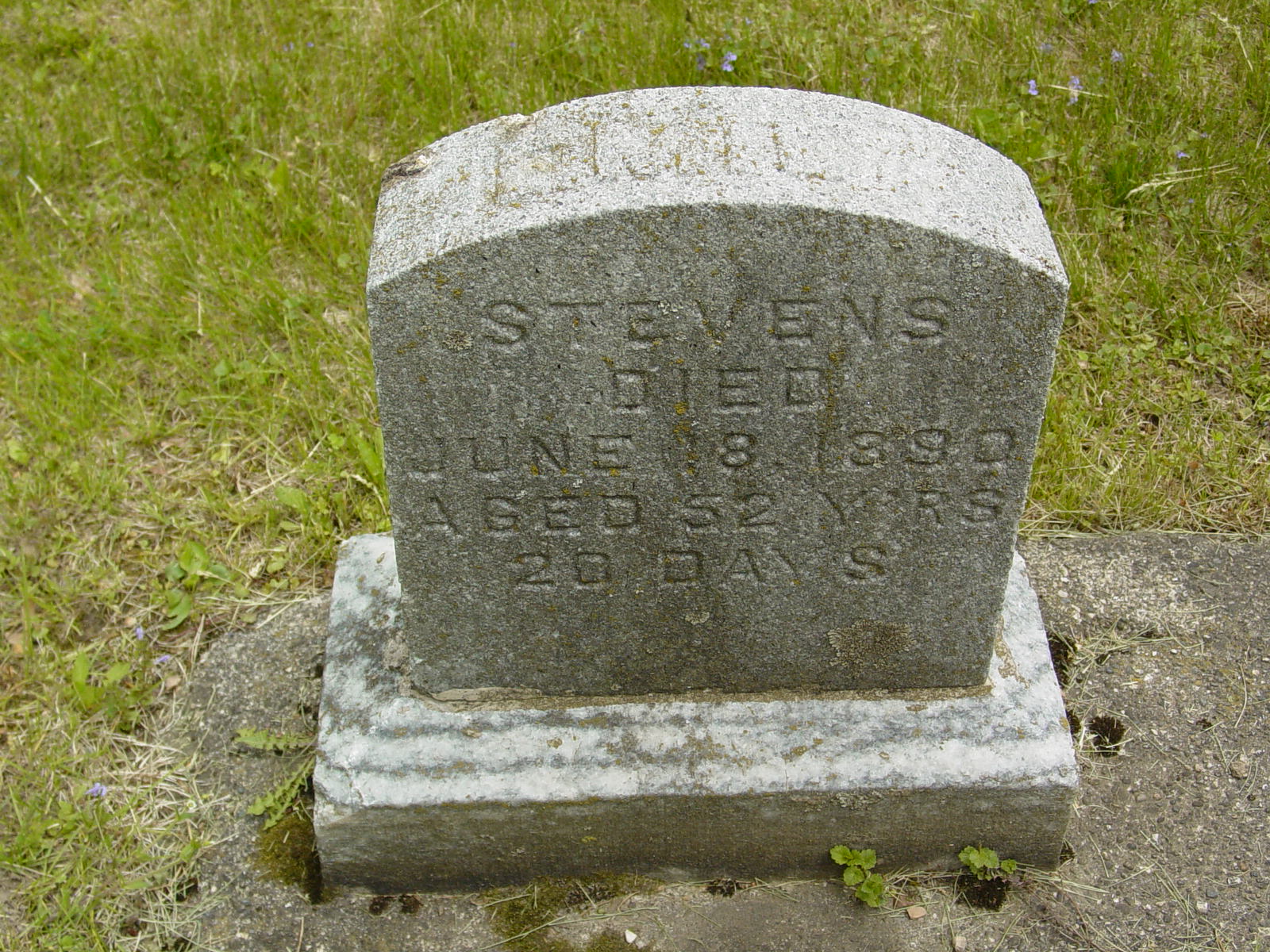 Portrait of Emily Stevens