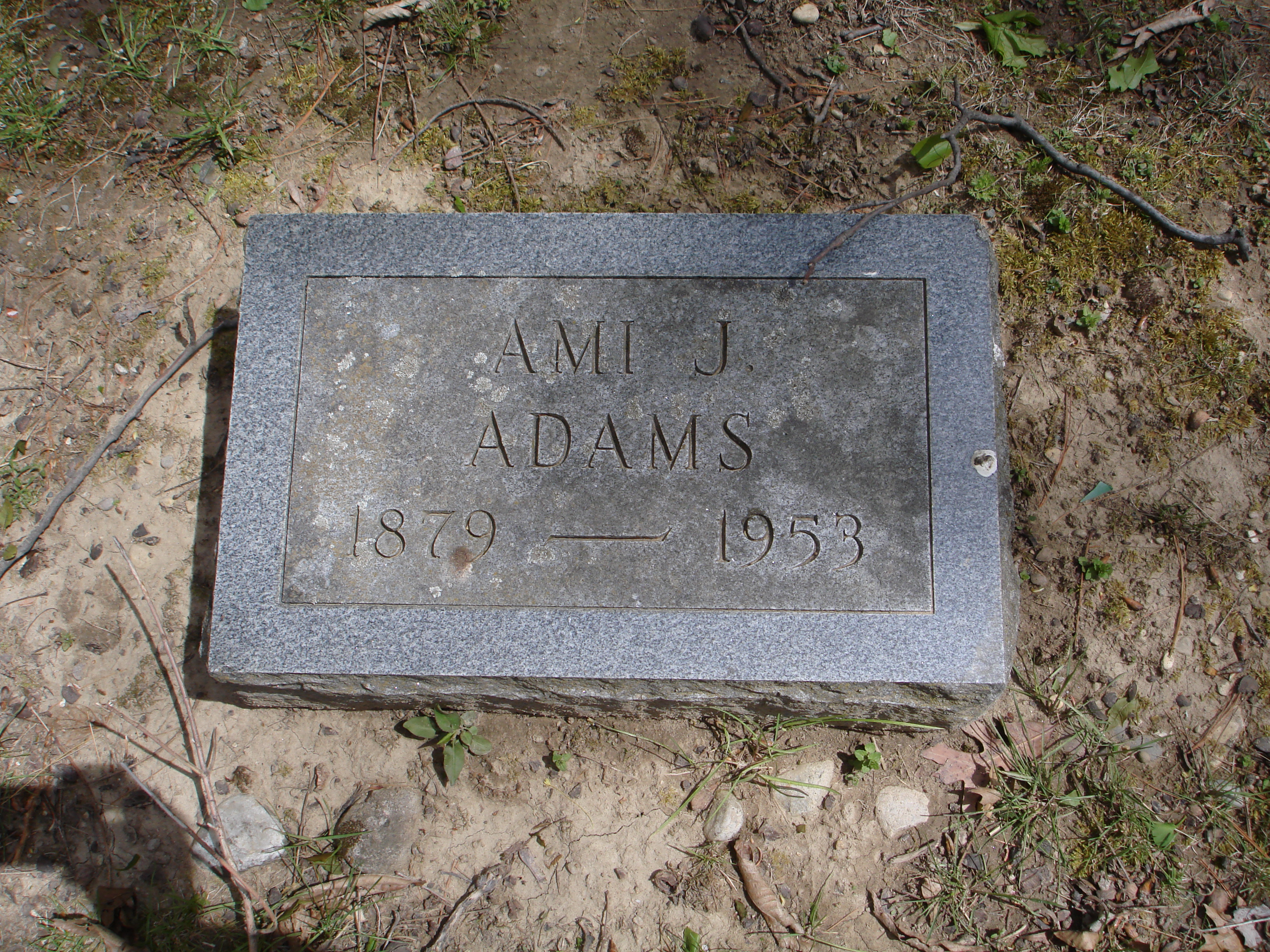 Portrait of Ami J Adams