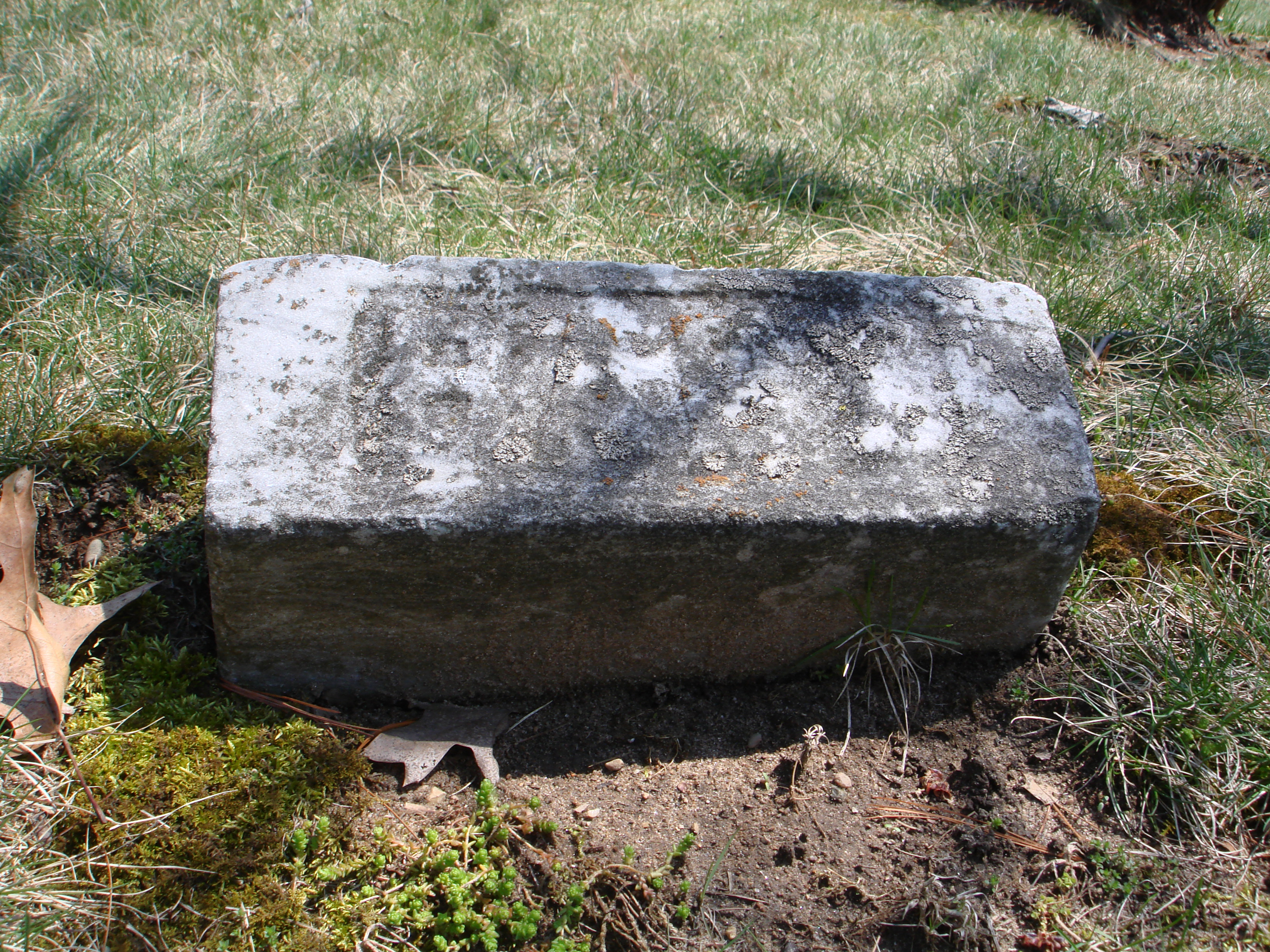 Portrait of Baby Allen