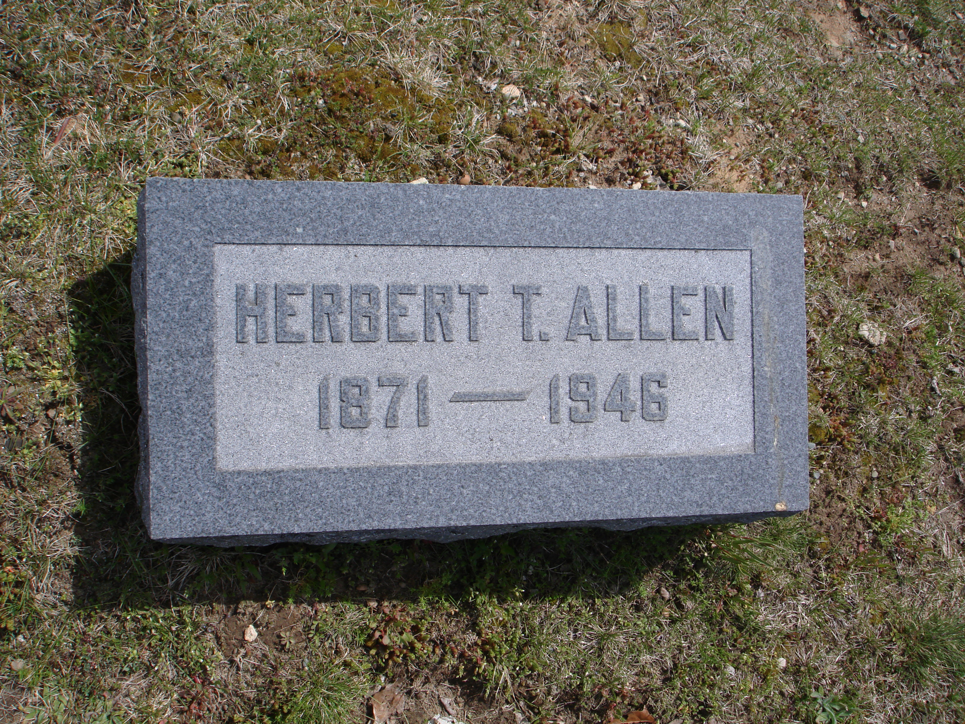 Portrait of Herbert T Allen