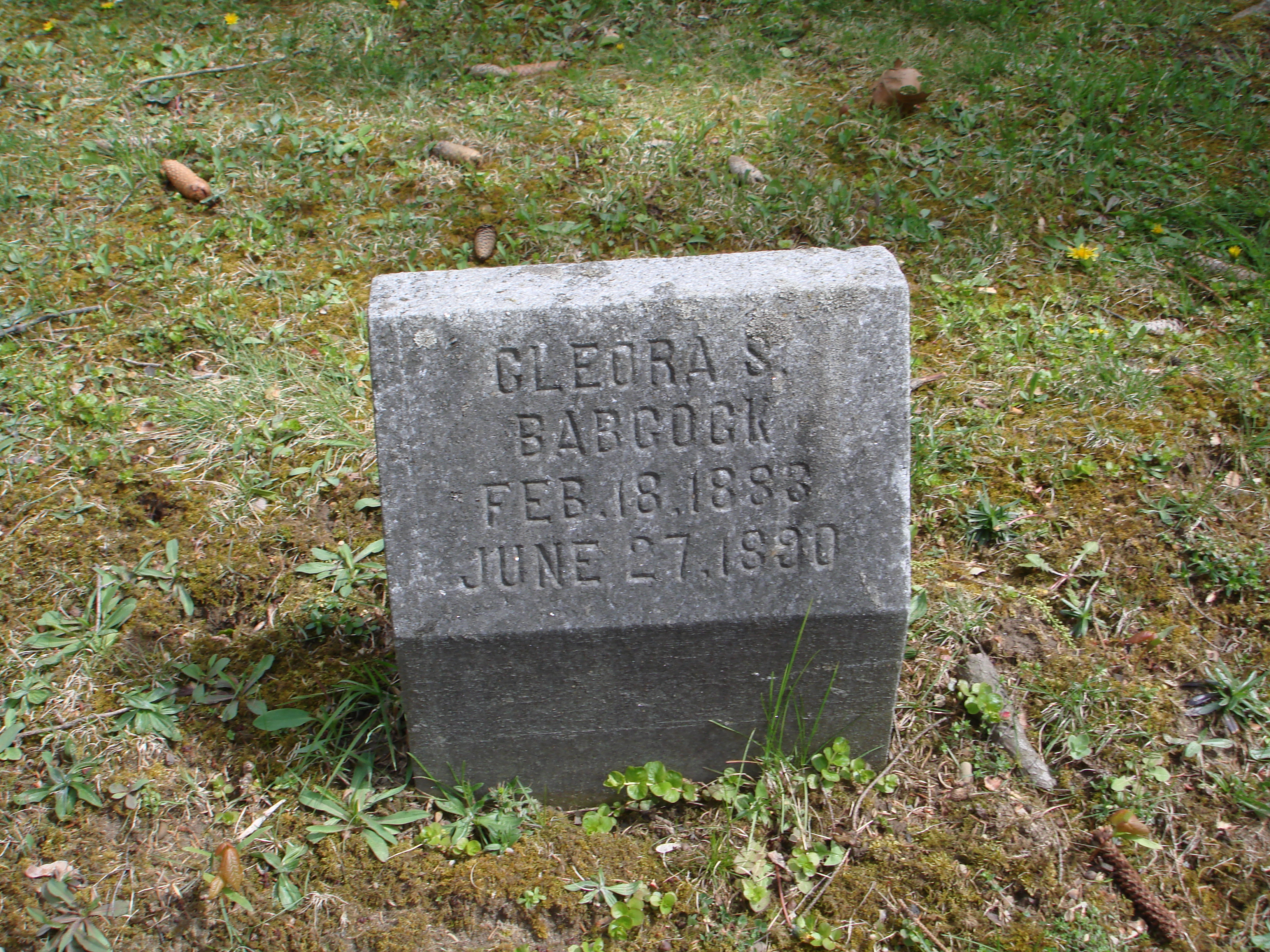 Portrait of Cleora S Babcock