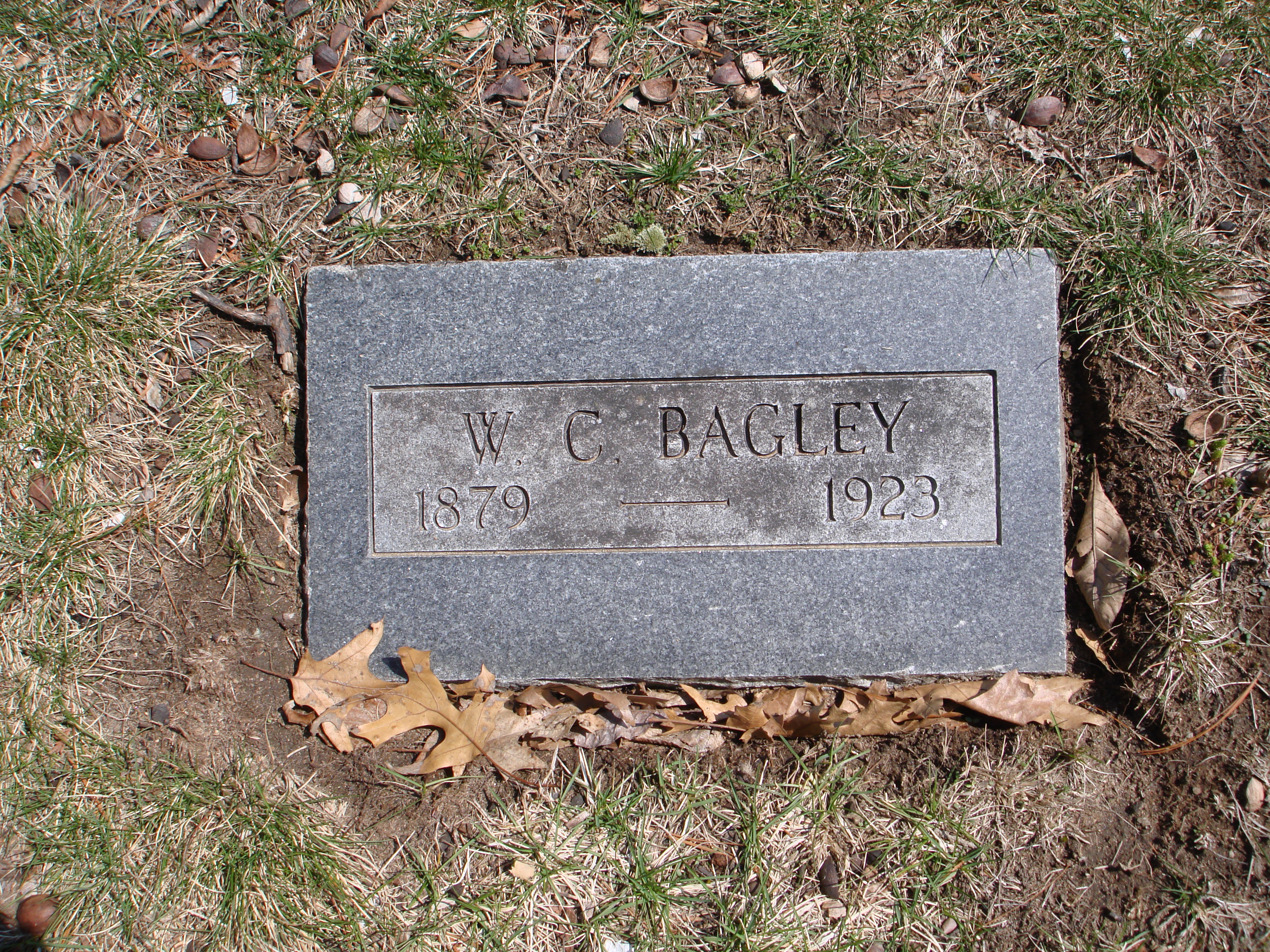 Portrait of William Charles Bagley