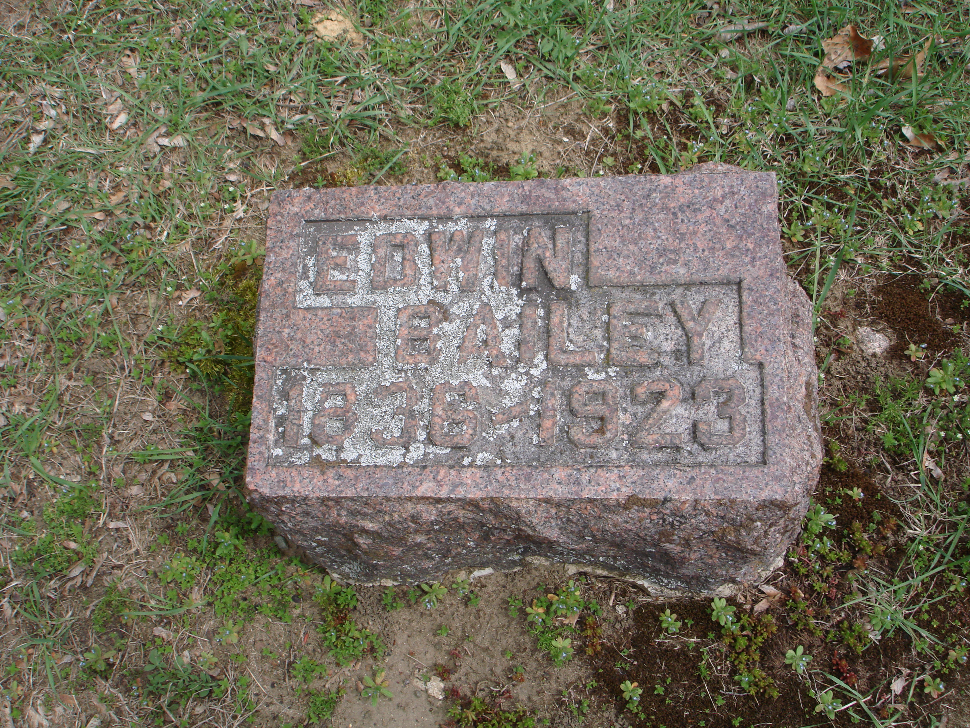 Portrait of Edwin Bailey