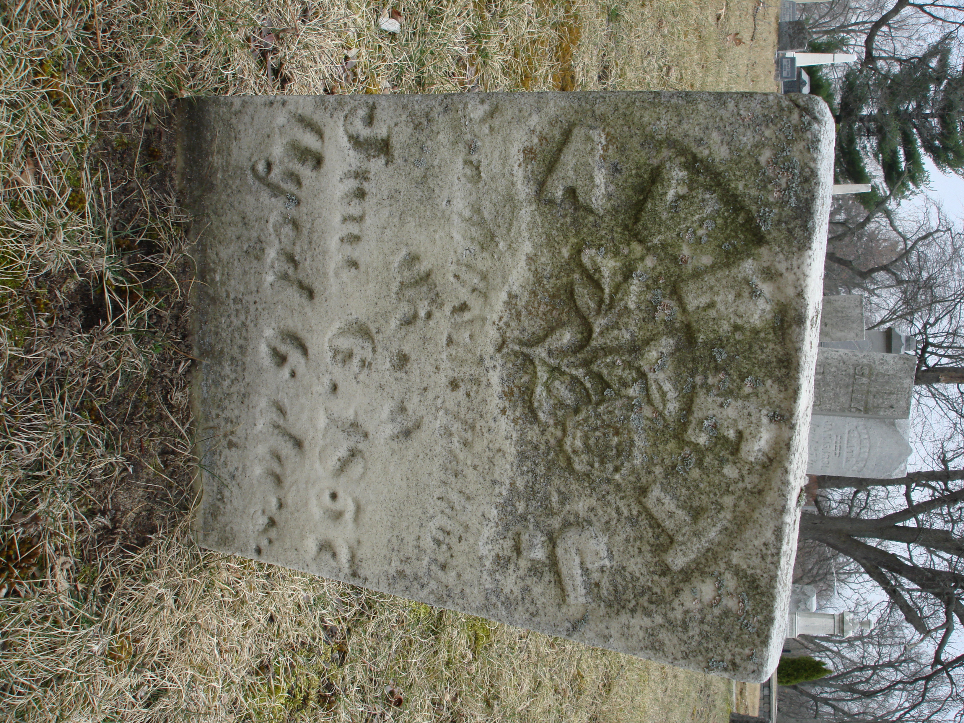 Portrait of Avert J Baldwin