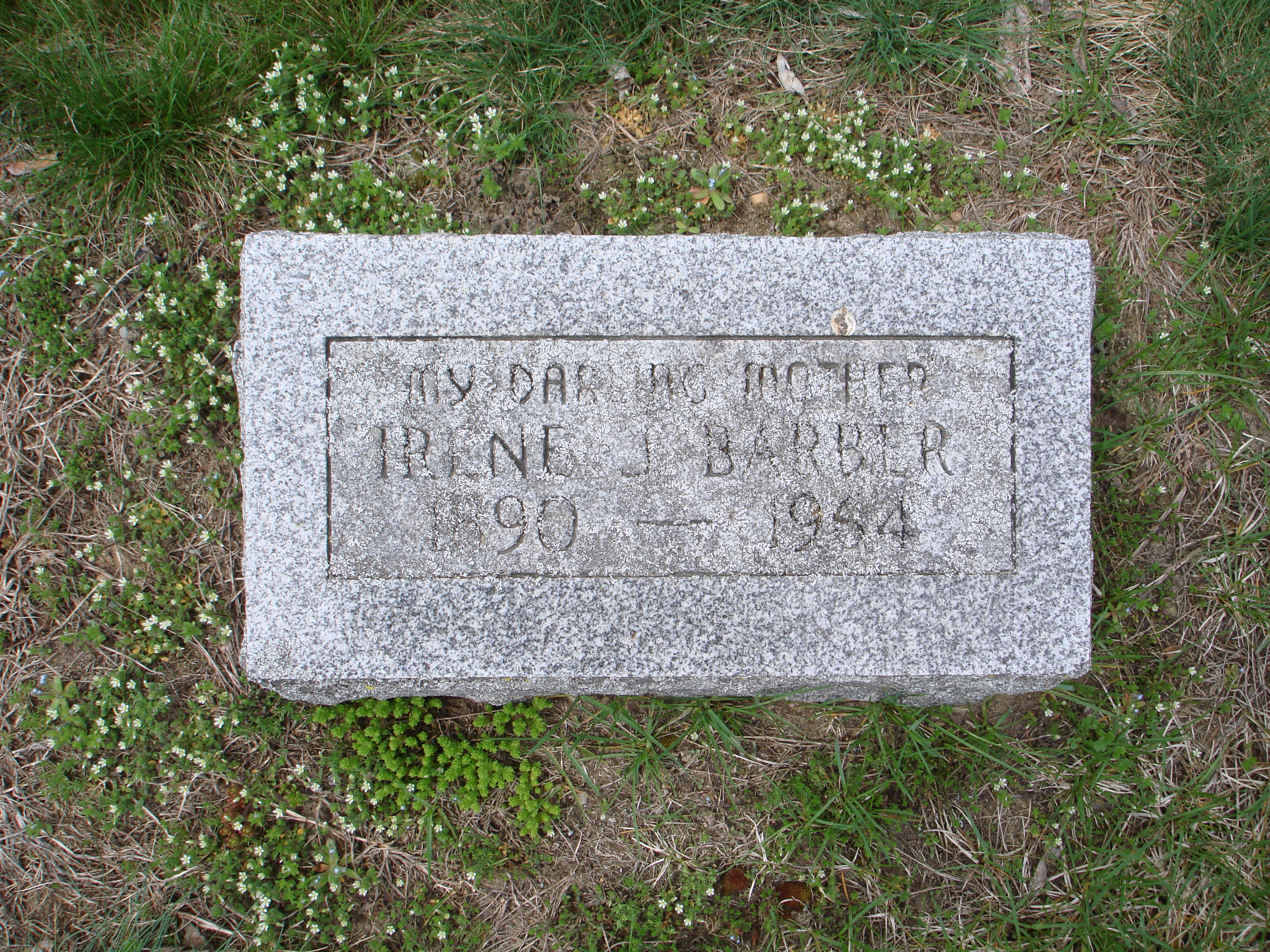 Portrait of Irene J  Stone