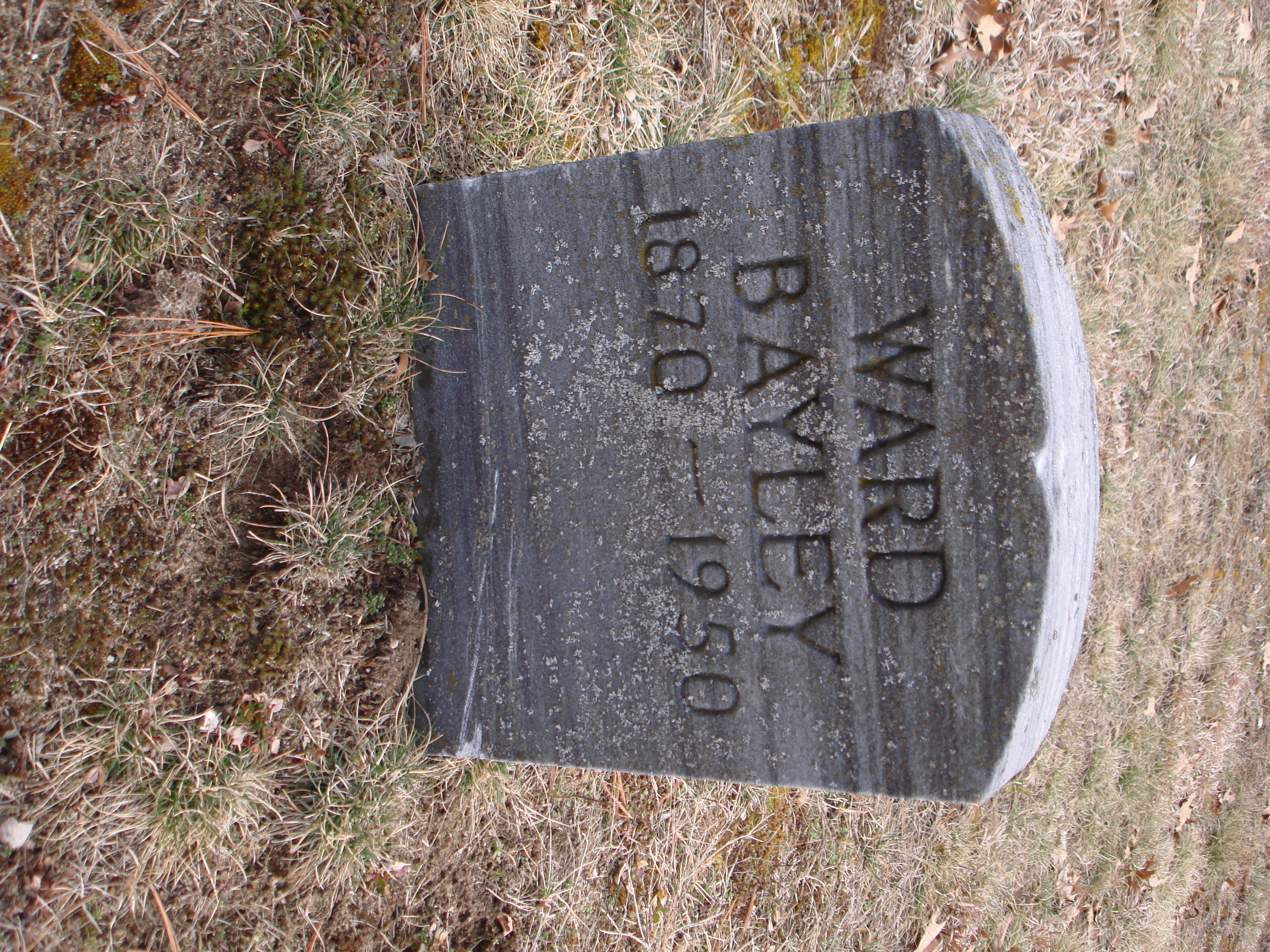 Portrait of Ward Henry Bayley