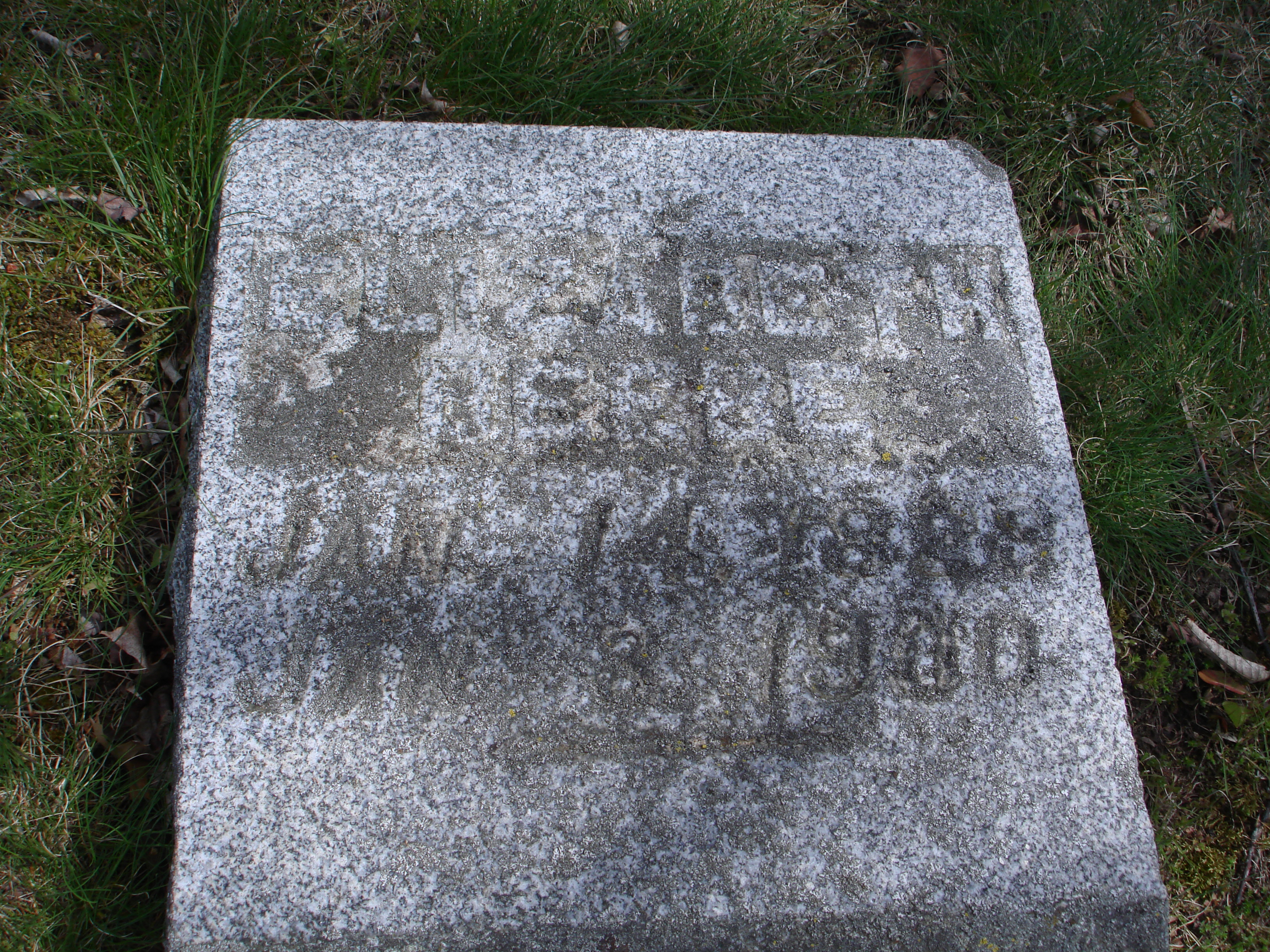 Portrait of Elizabeth Moon