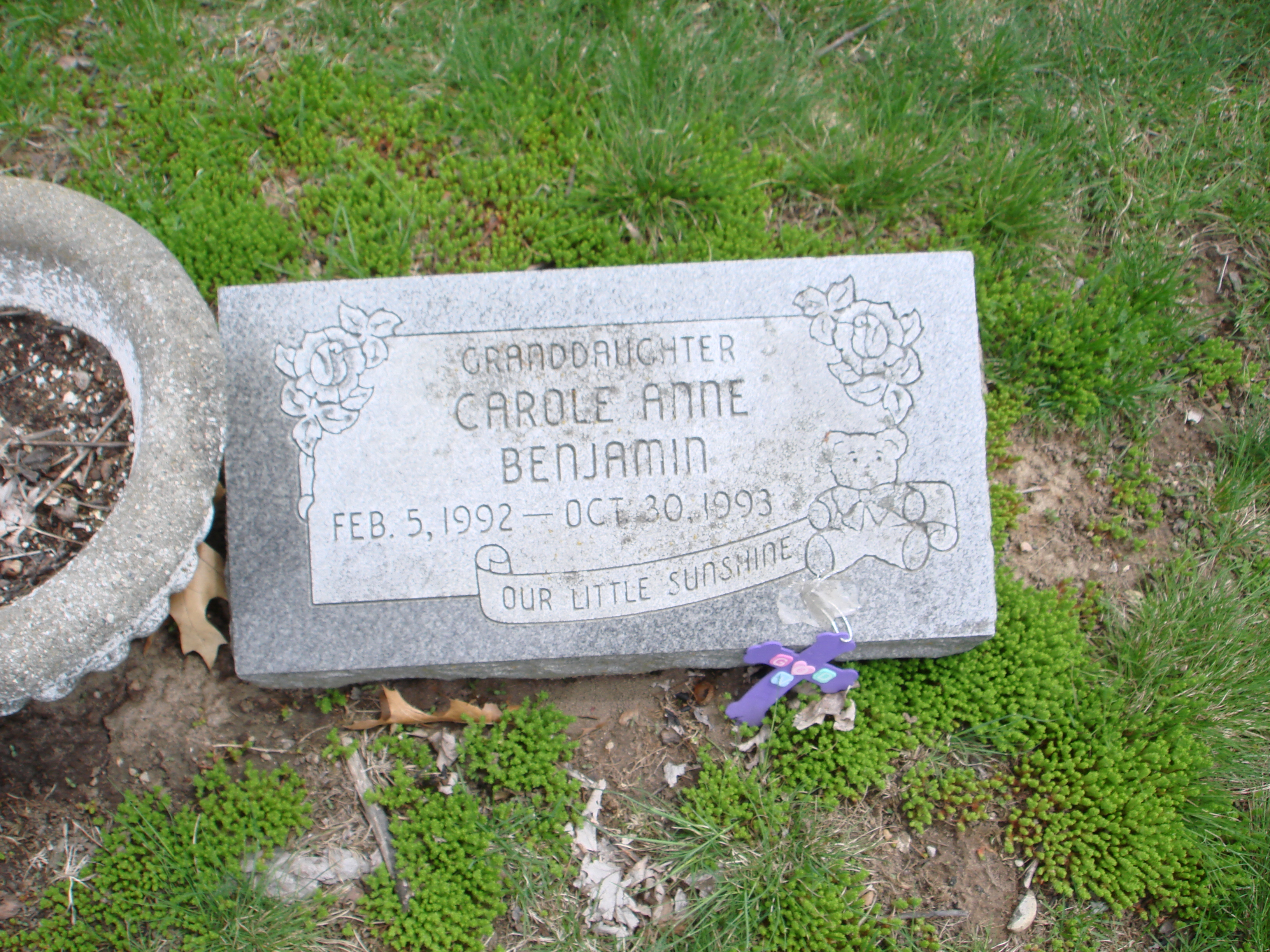 Portrait of Carole Benjamin
