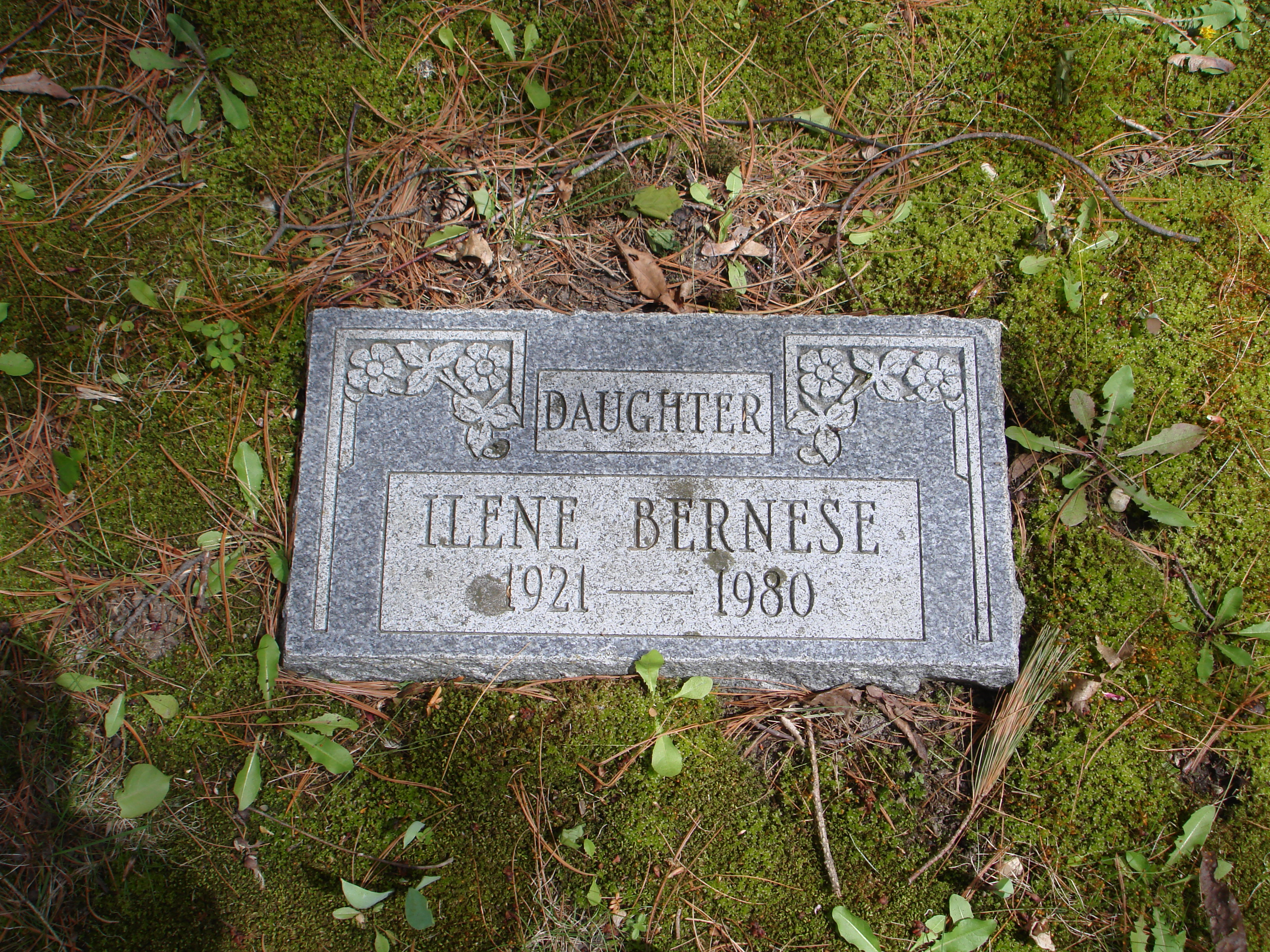 Portrait of Ilene Bernese Dalgleish