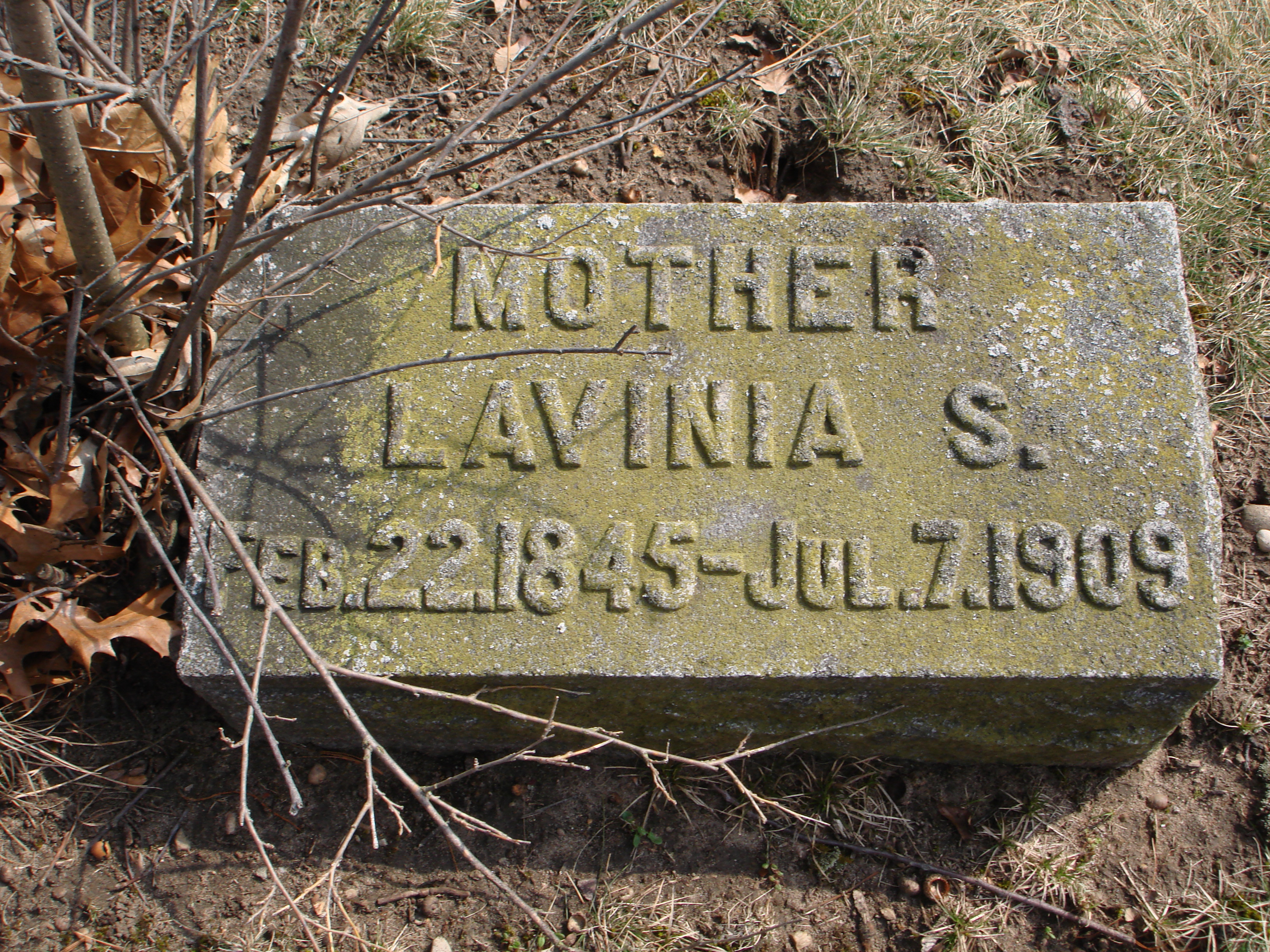 Portrait of Lavina S Brown