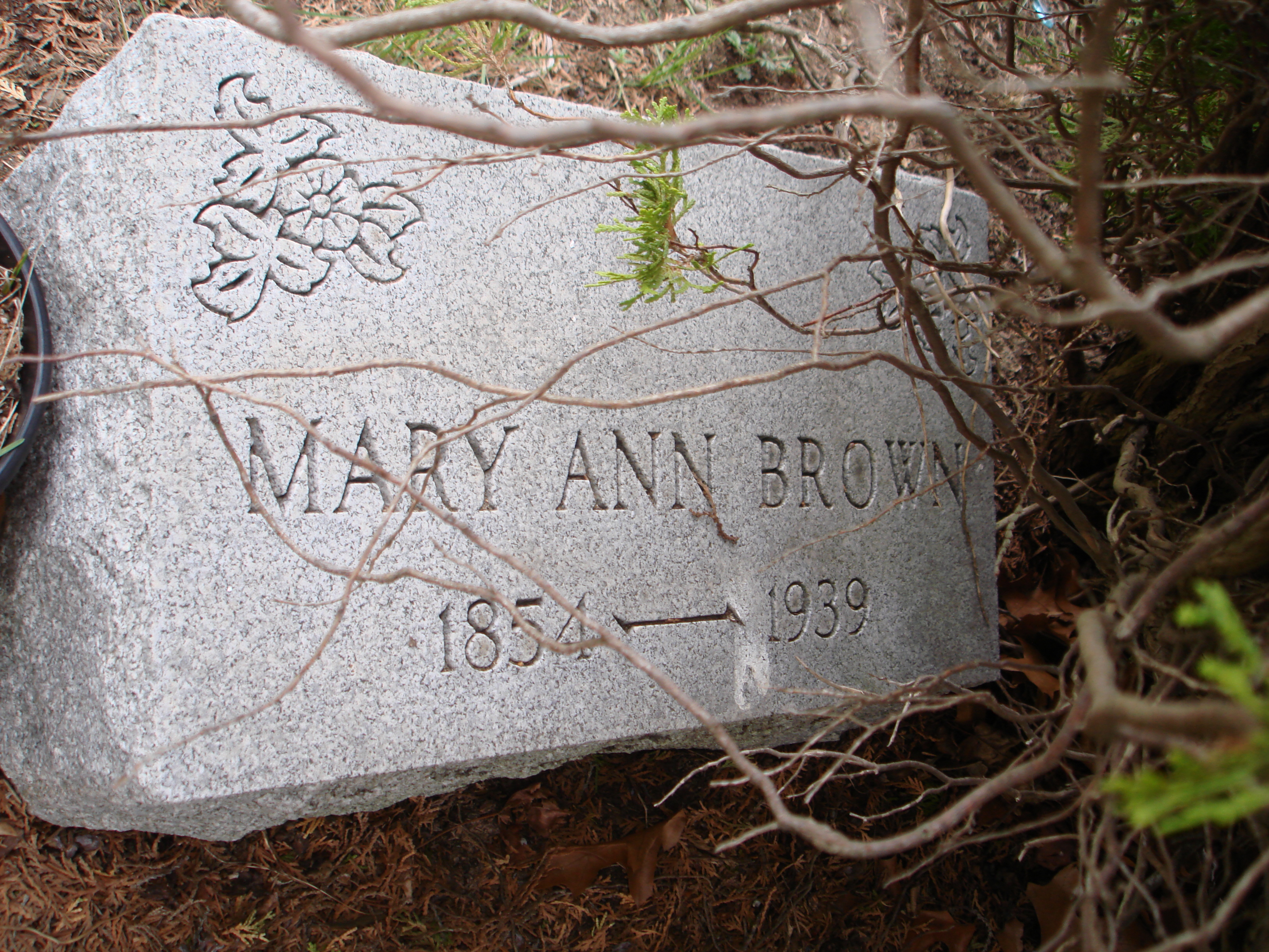 Portrait of Mary Ann Robinson