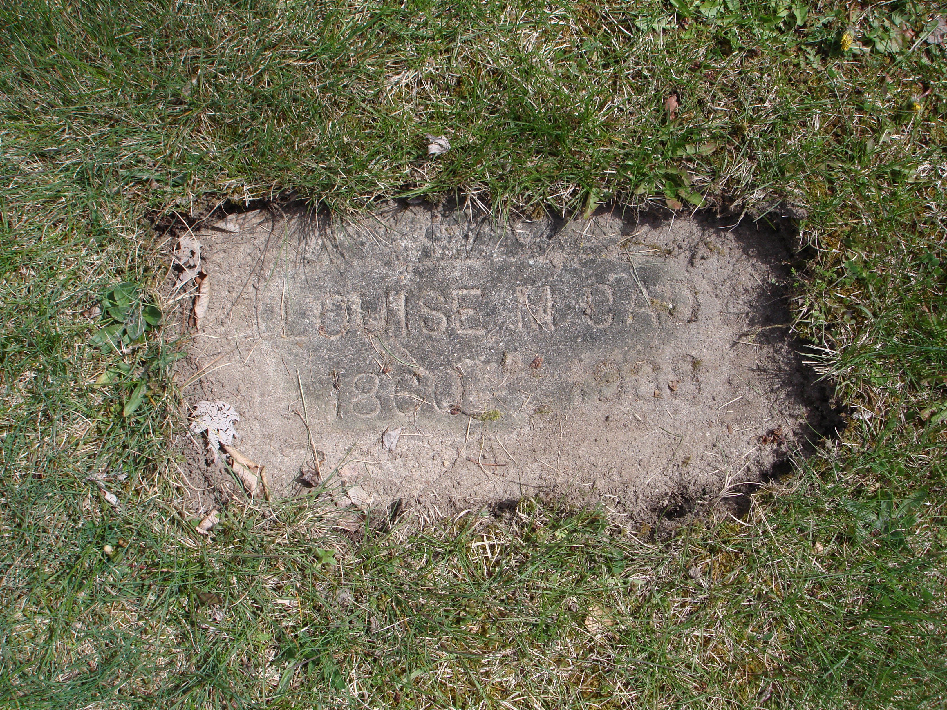 Portrait of Louisa Cameron