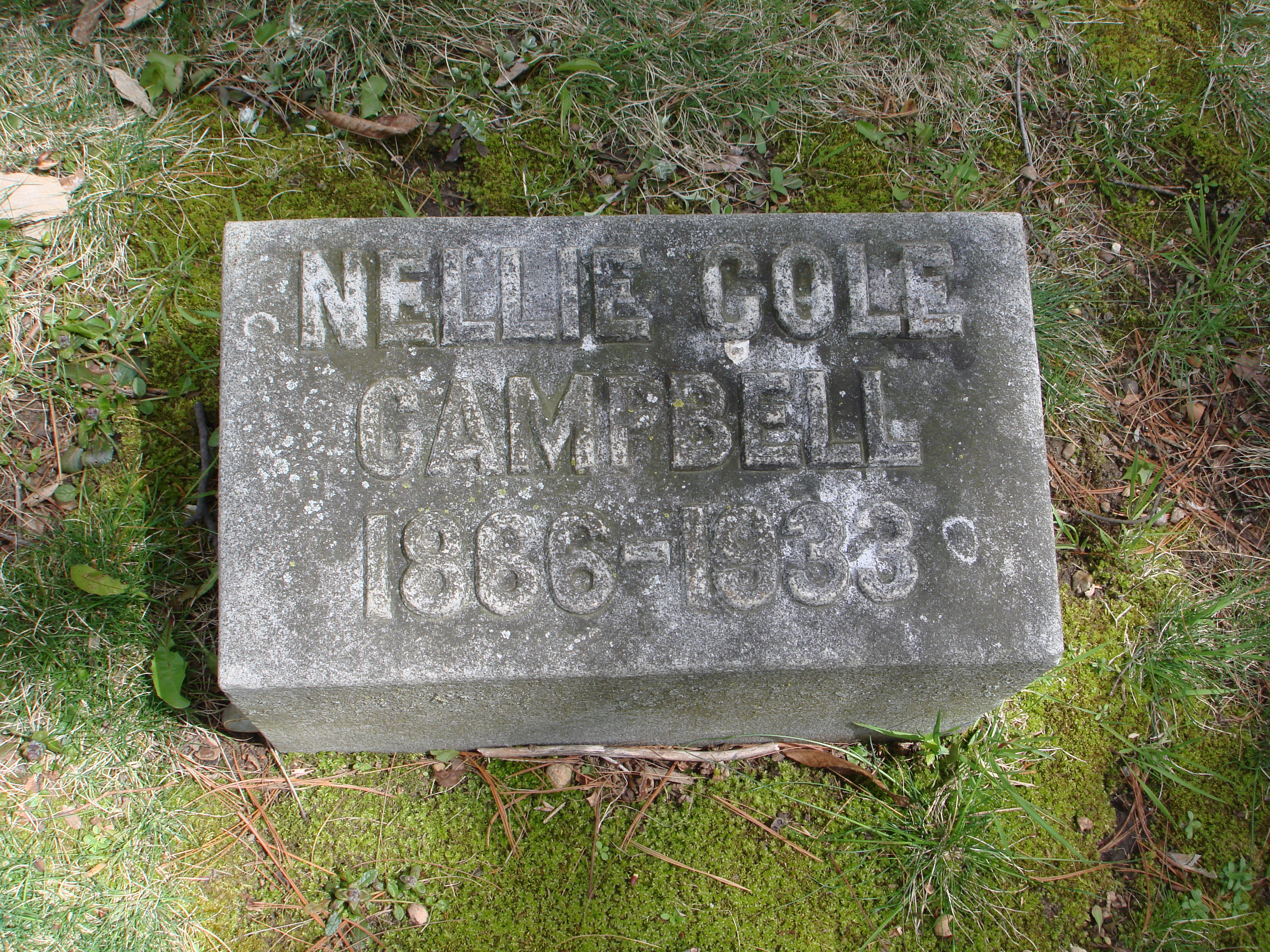 Portrait of Nellie C Cole