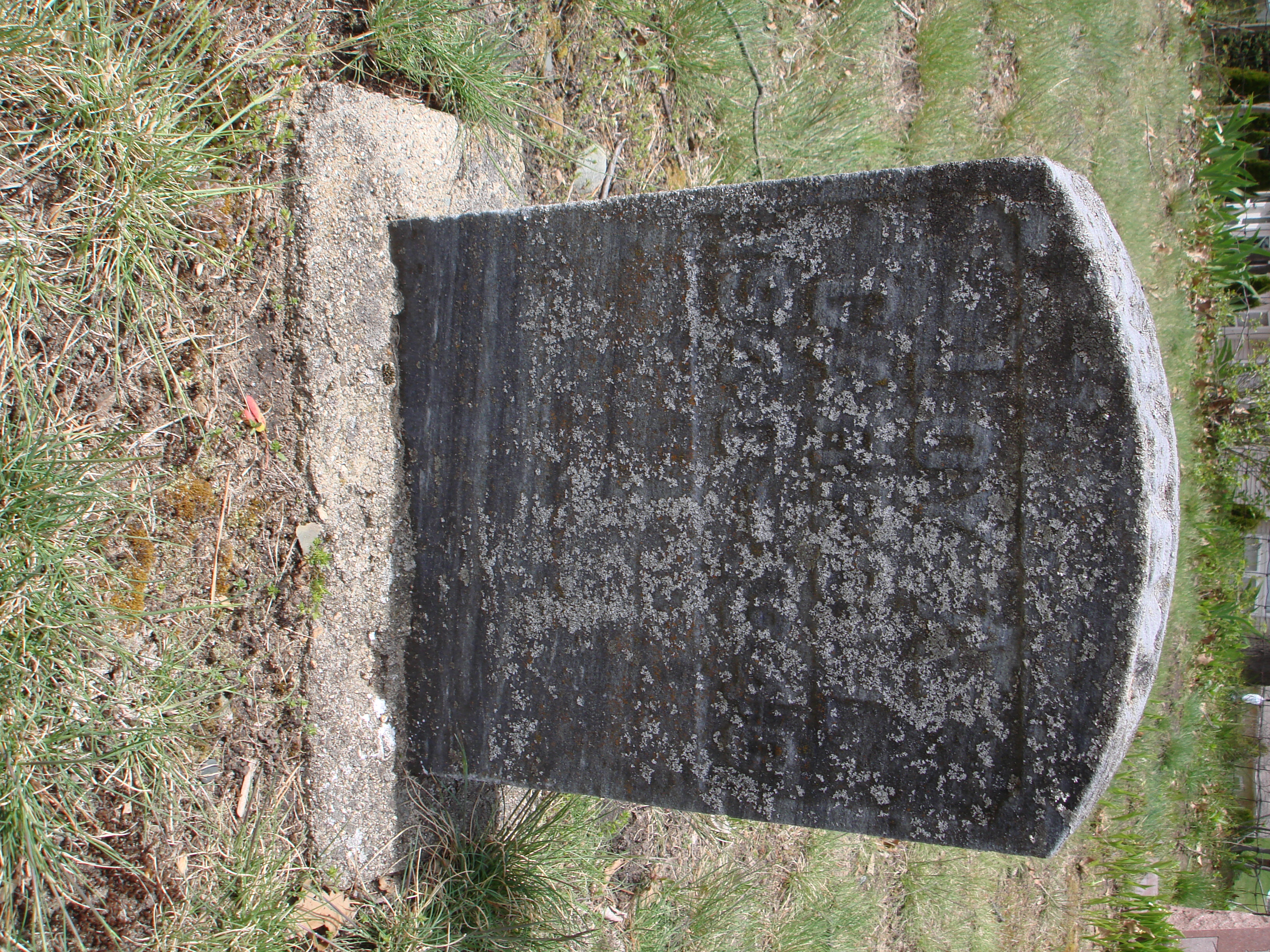 Portrait of Loy Carroll