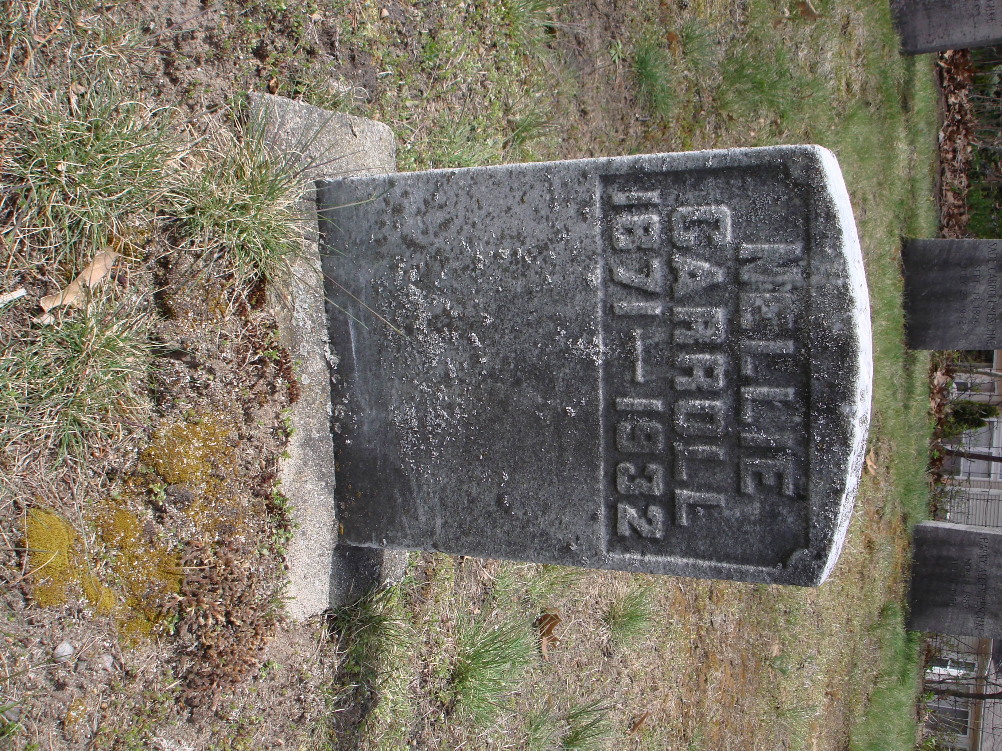 Portrait of Nellie Carroll