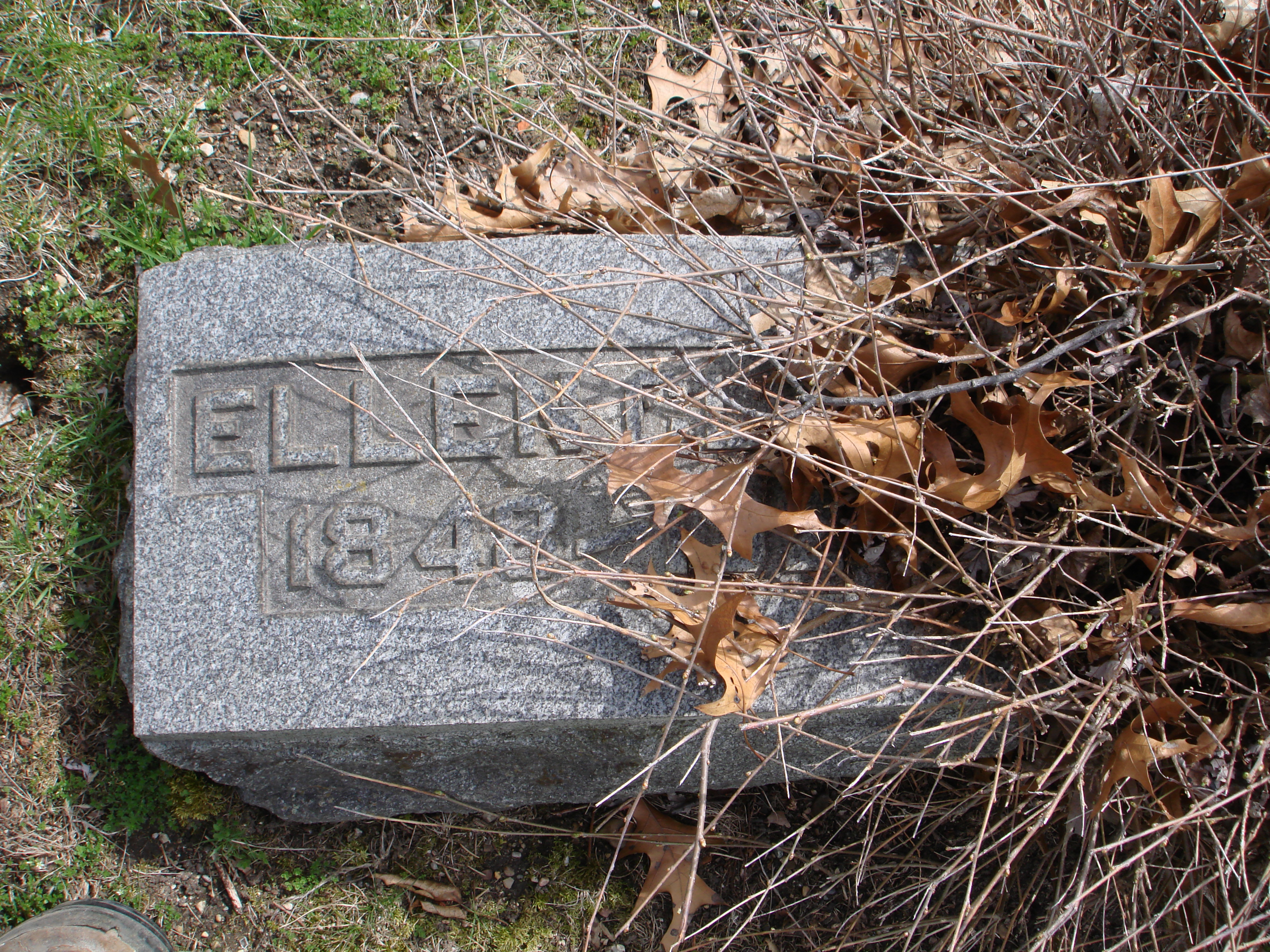 Portrait of Ellen Lee
