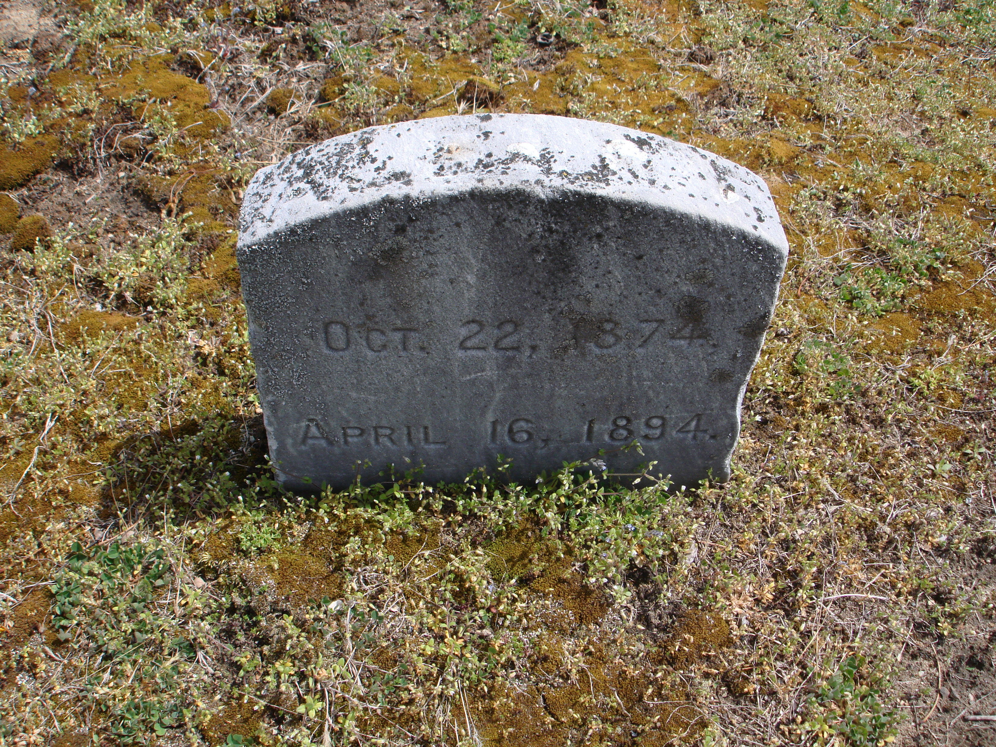 Portrait of Albin Clink