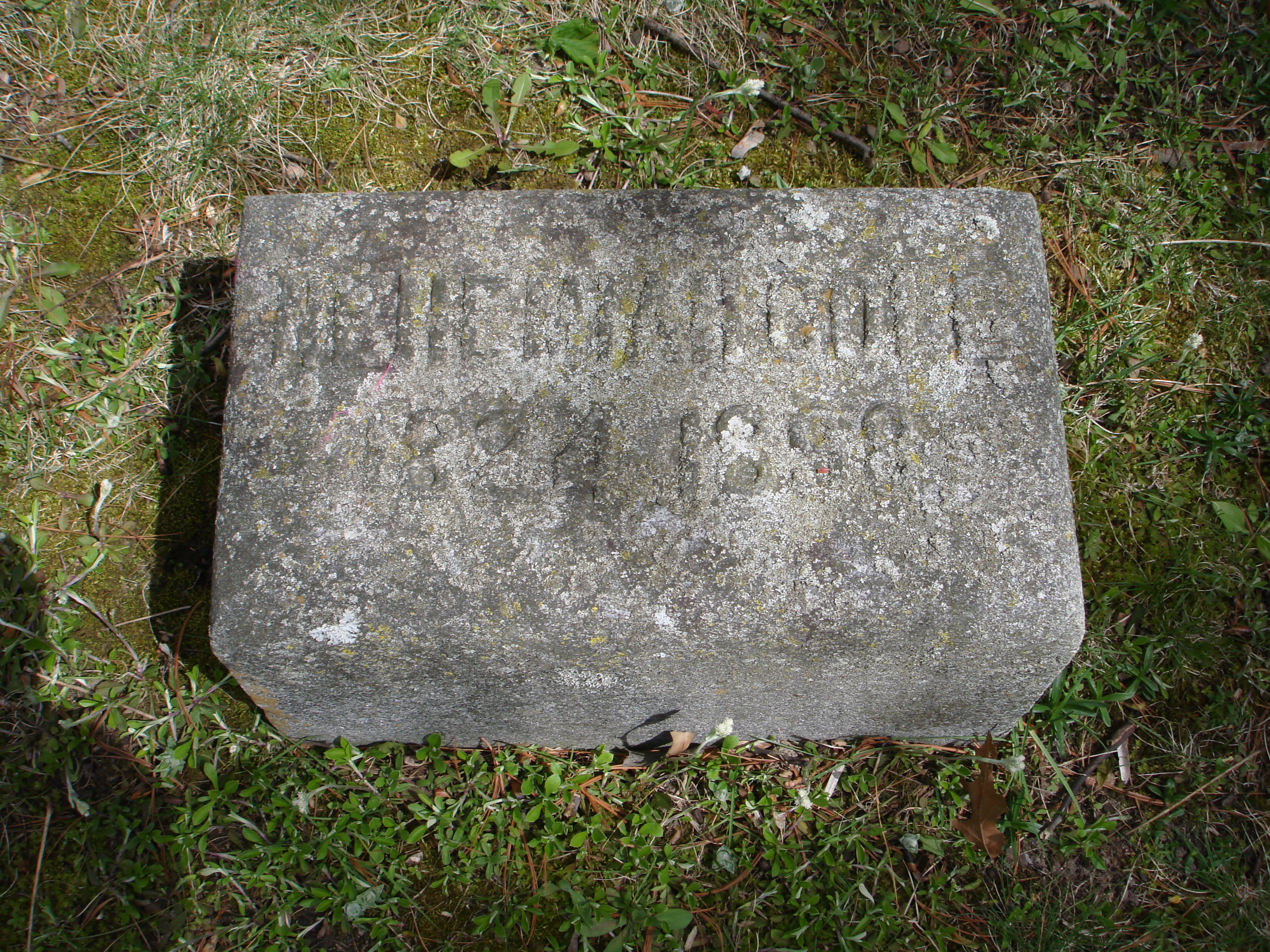 Portrait of Nehemiah Cole