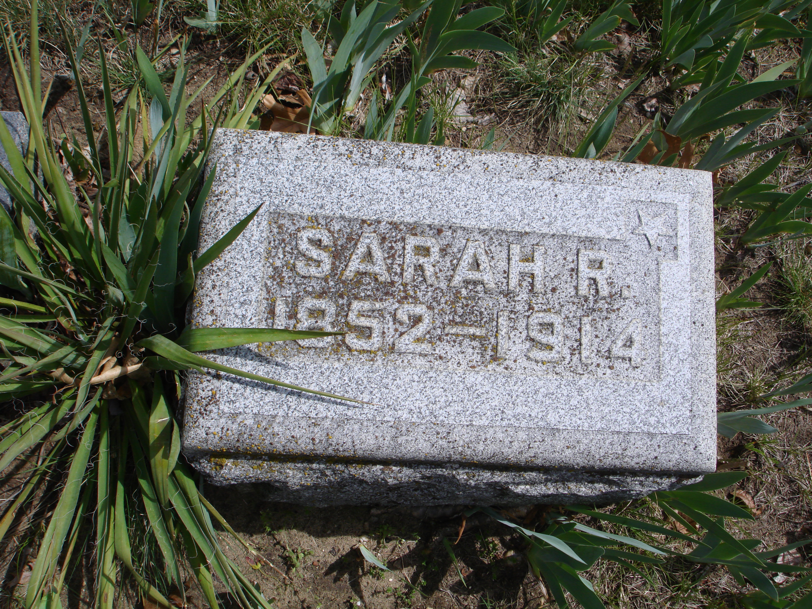 Portrait of Sarah R Sherwood