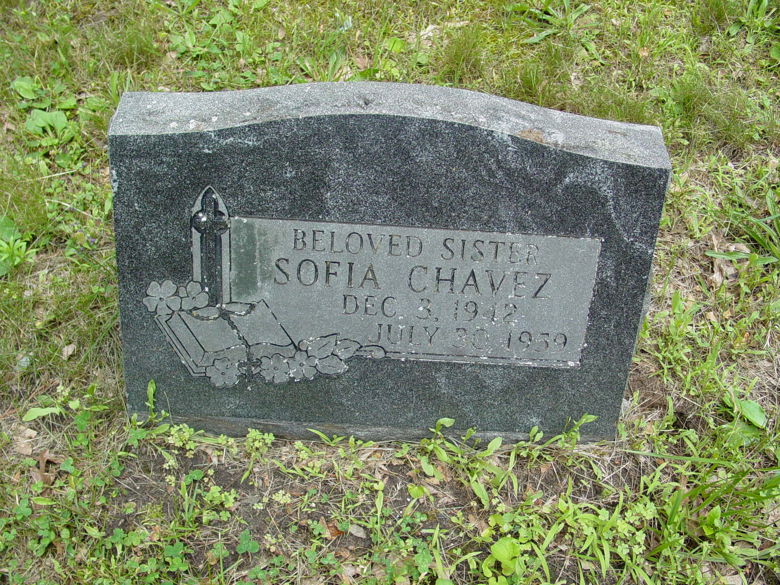 Portrait of Sofia Chavez