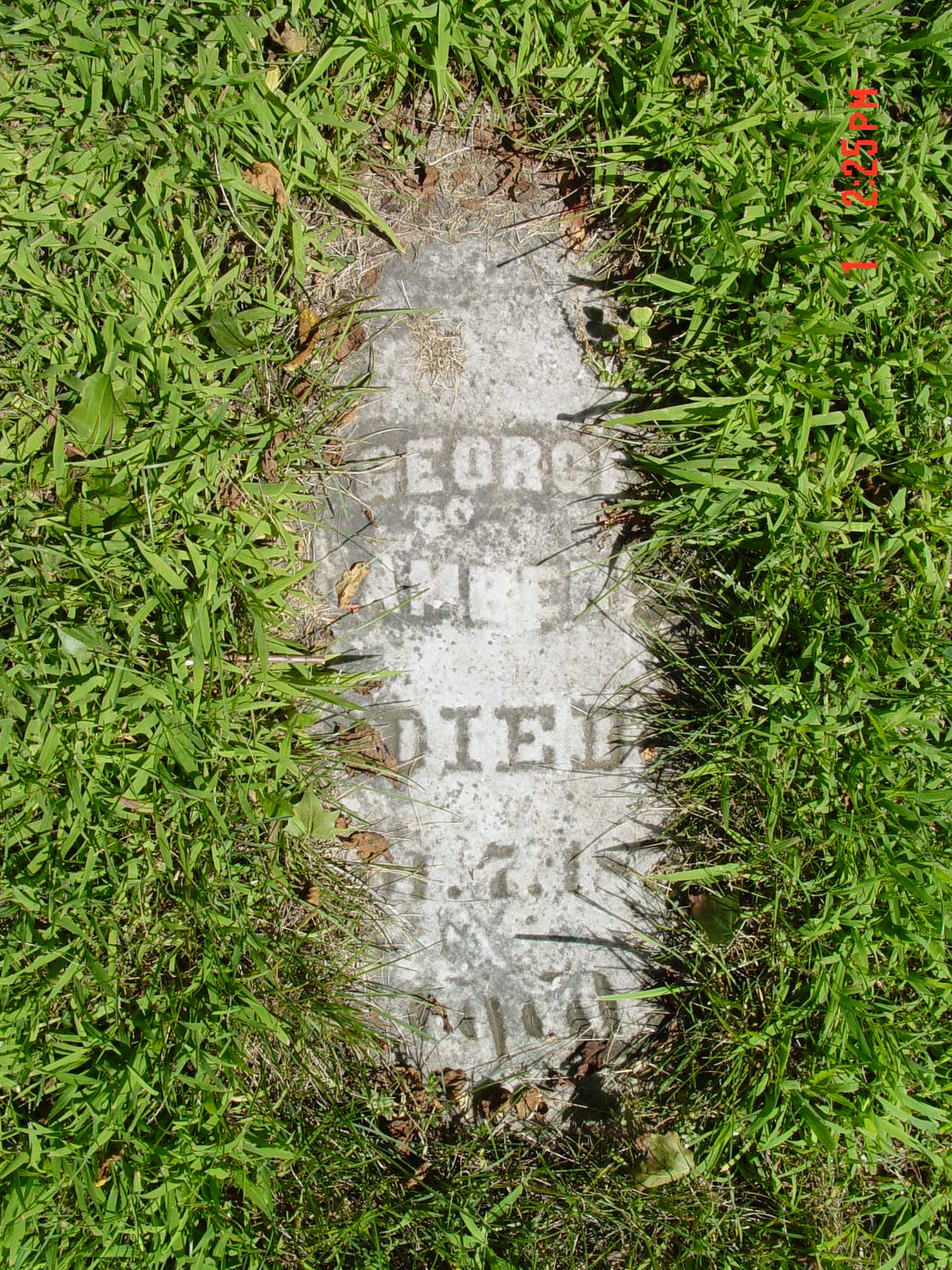 Portrait of George F. Chamberlin