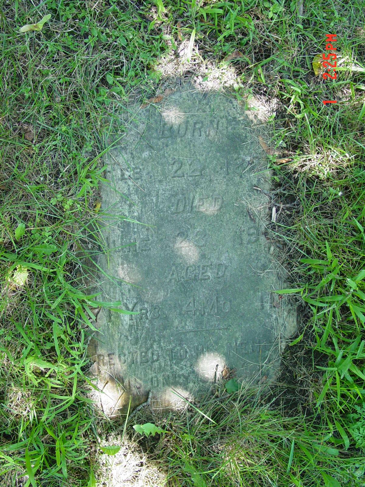 Portrait of Philip A Brown