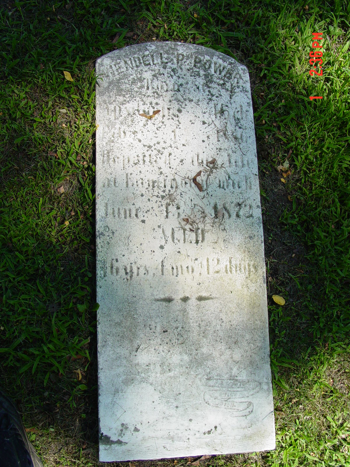 Portrait of Wendell P Power