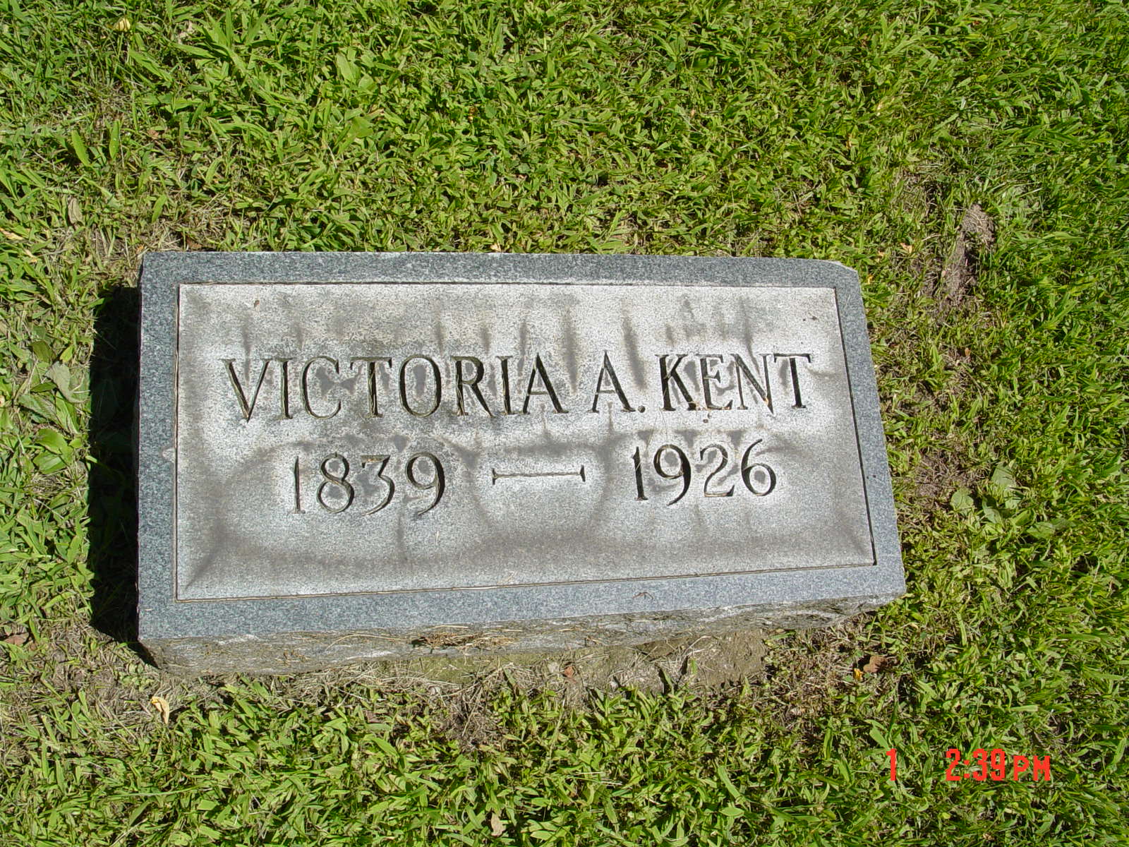 Portrait of Victoria Adelaide  Lee