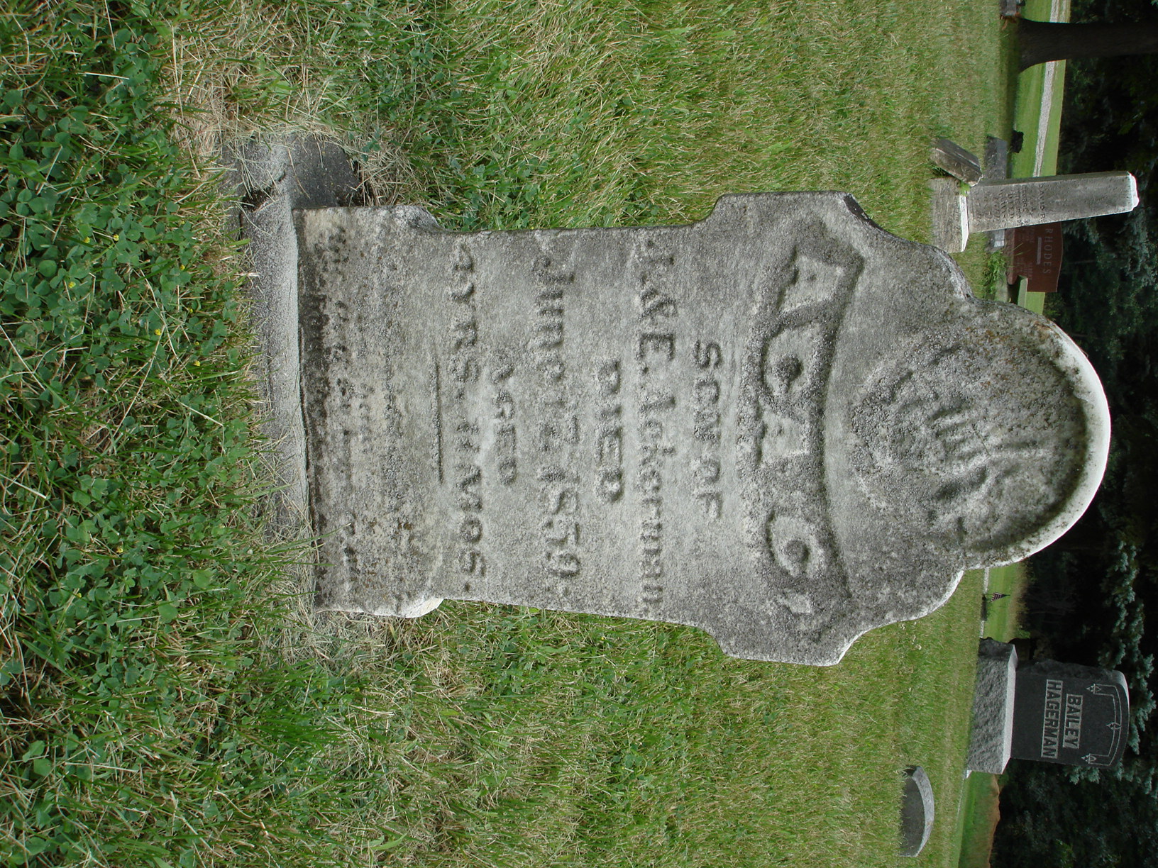Portrait of Aca Ackerman