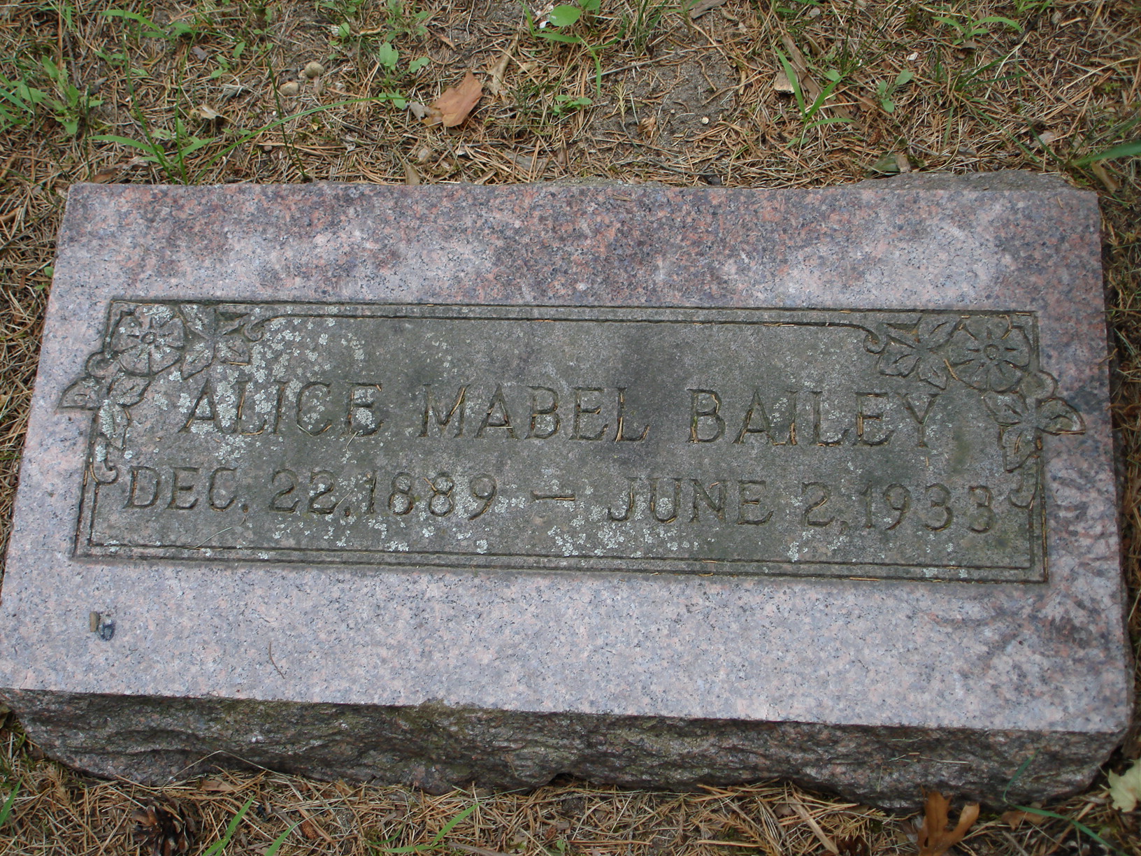 Portrait of Alice Mabel  Middleton