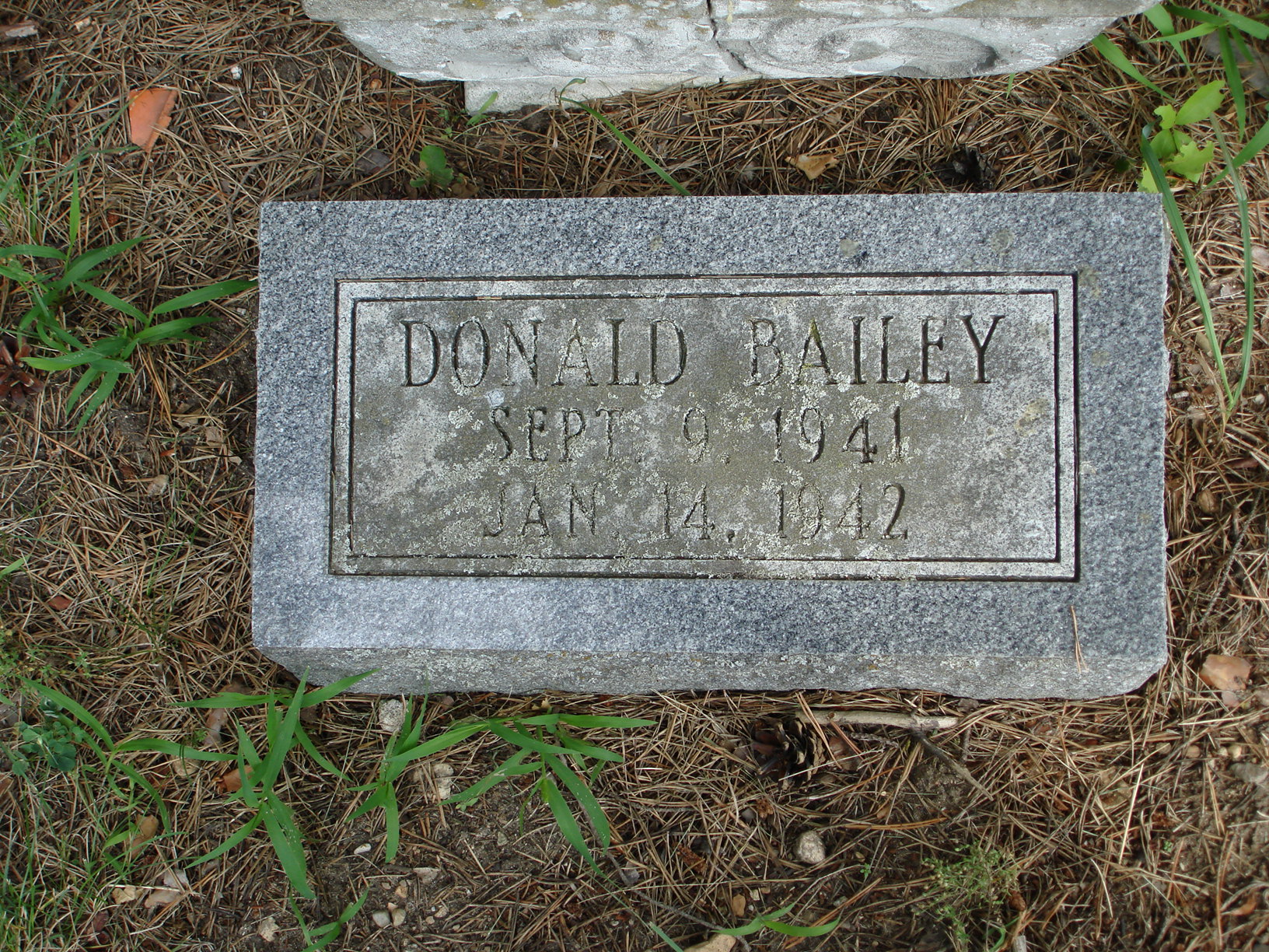 Portrait of Donald Bailey