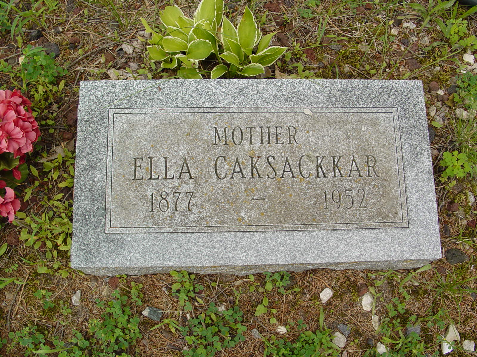Portrait of Ella Caksackkar