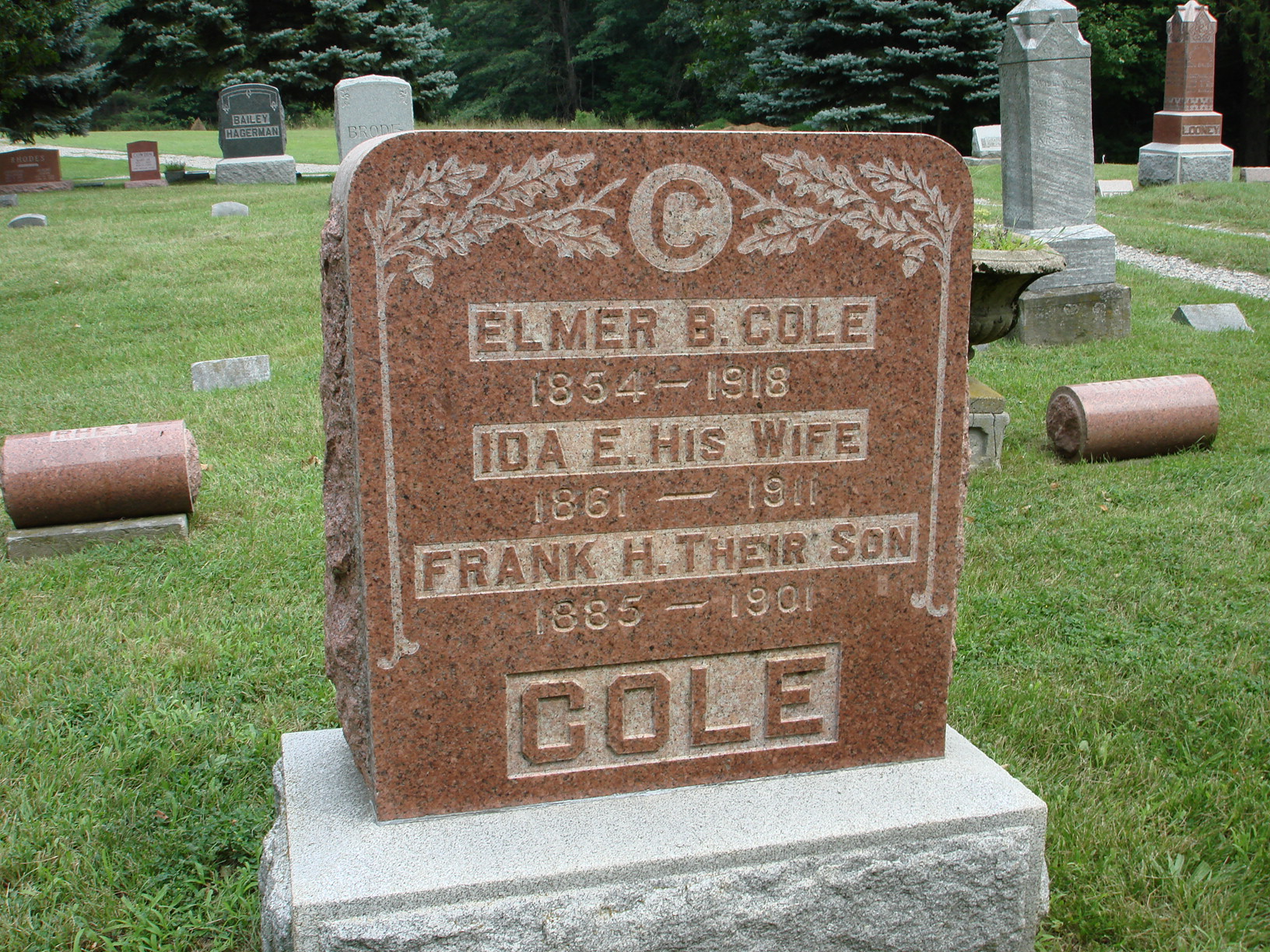 Portrait of Elmer B Cole