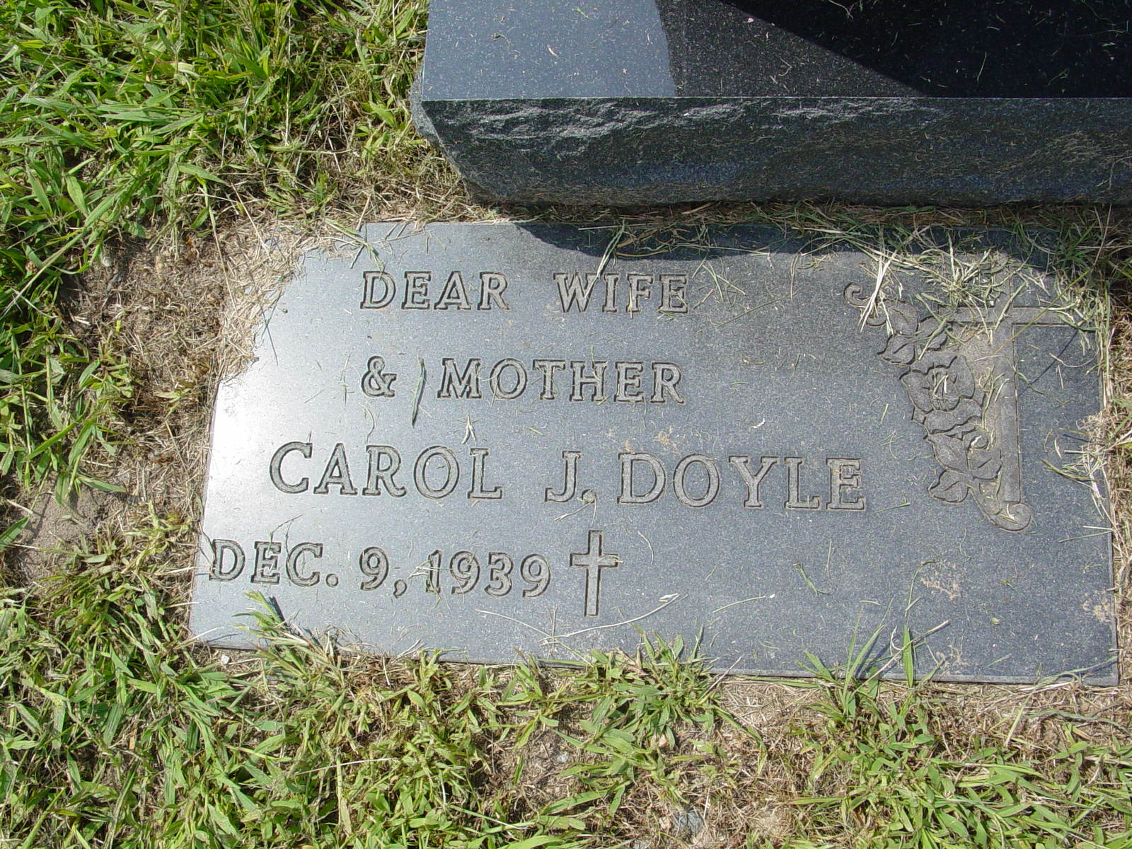 Portrait of Carol J. Doyle