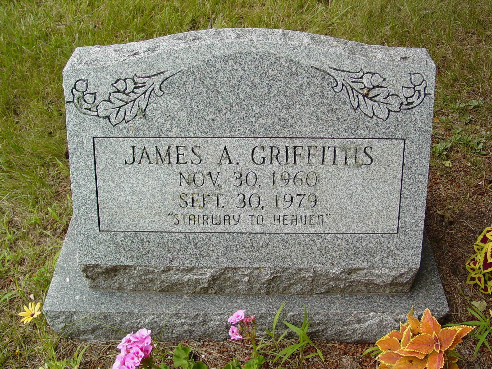 Portrait of James A Griffiths