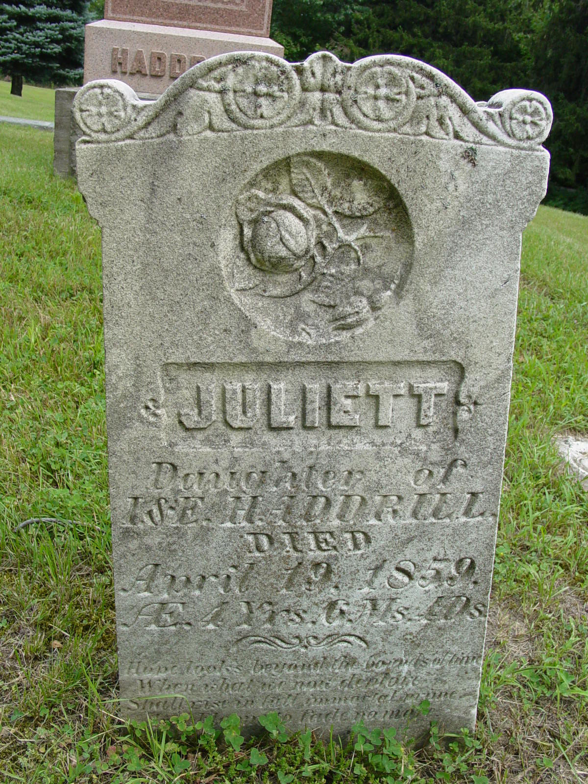 Portrait of Juliett Haddrill