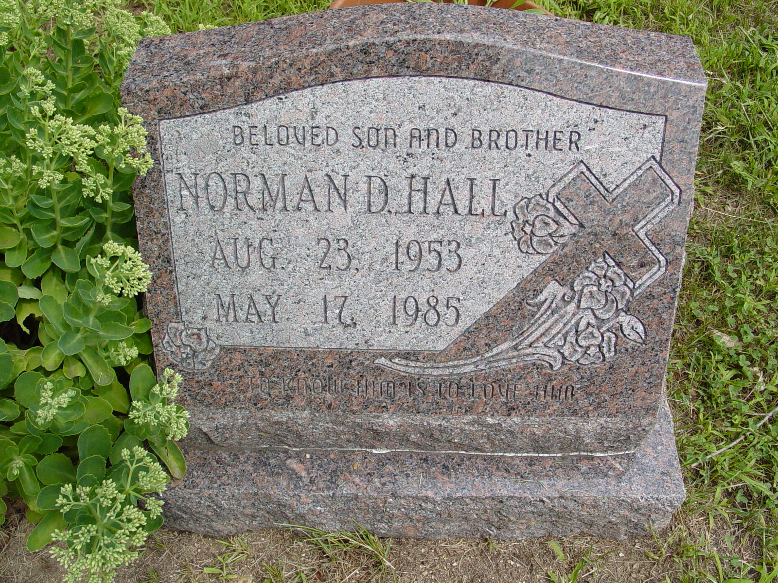 Portrait of Norman D Hall