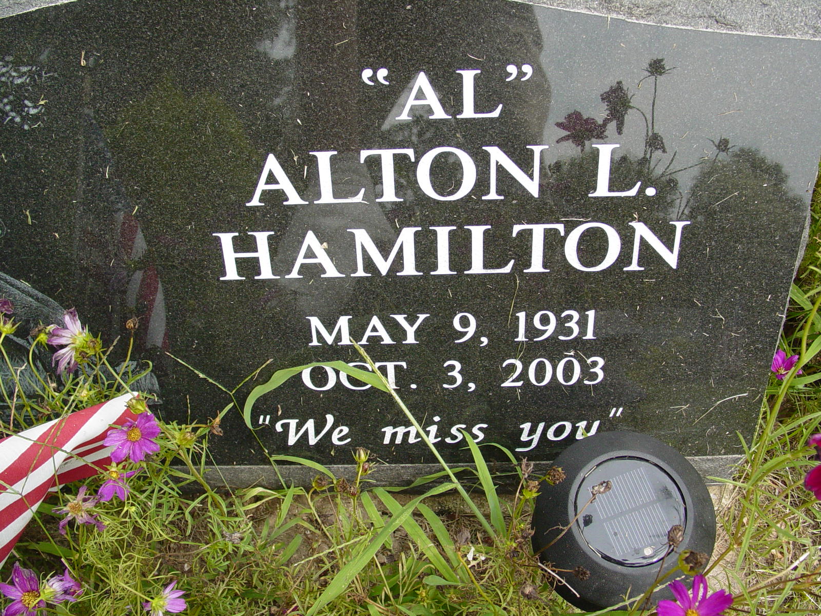 Portrait of Alton L  Hamilton