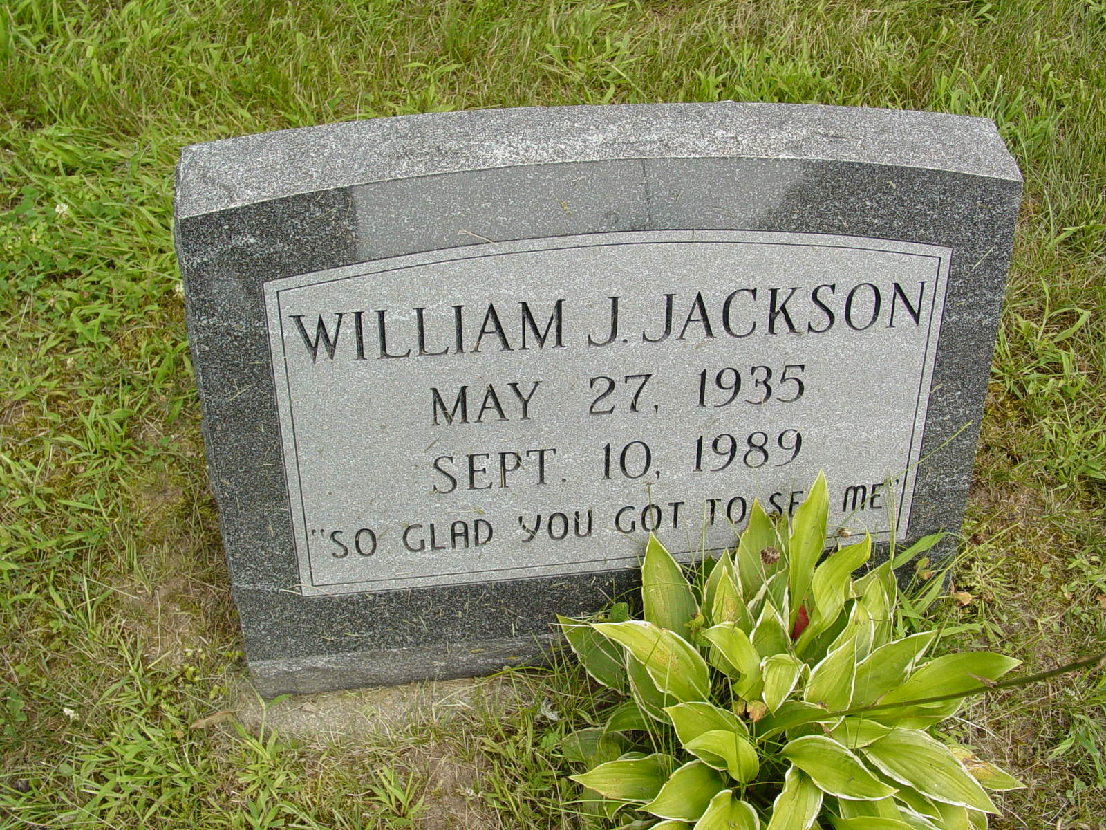 Portrait of William J Jackson
