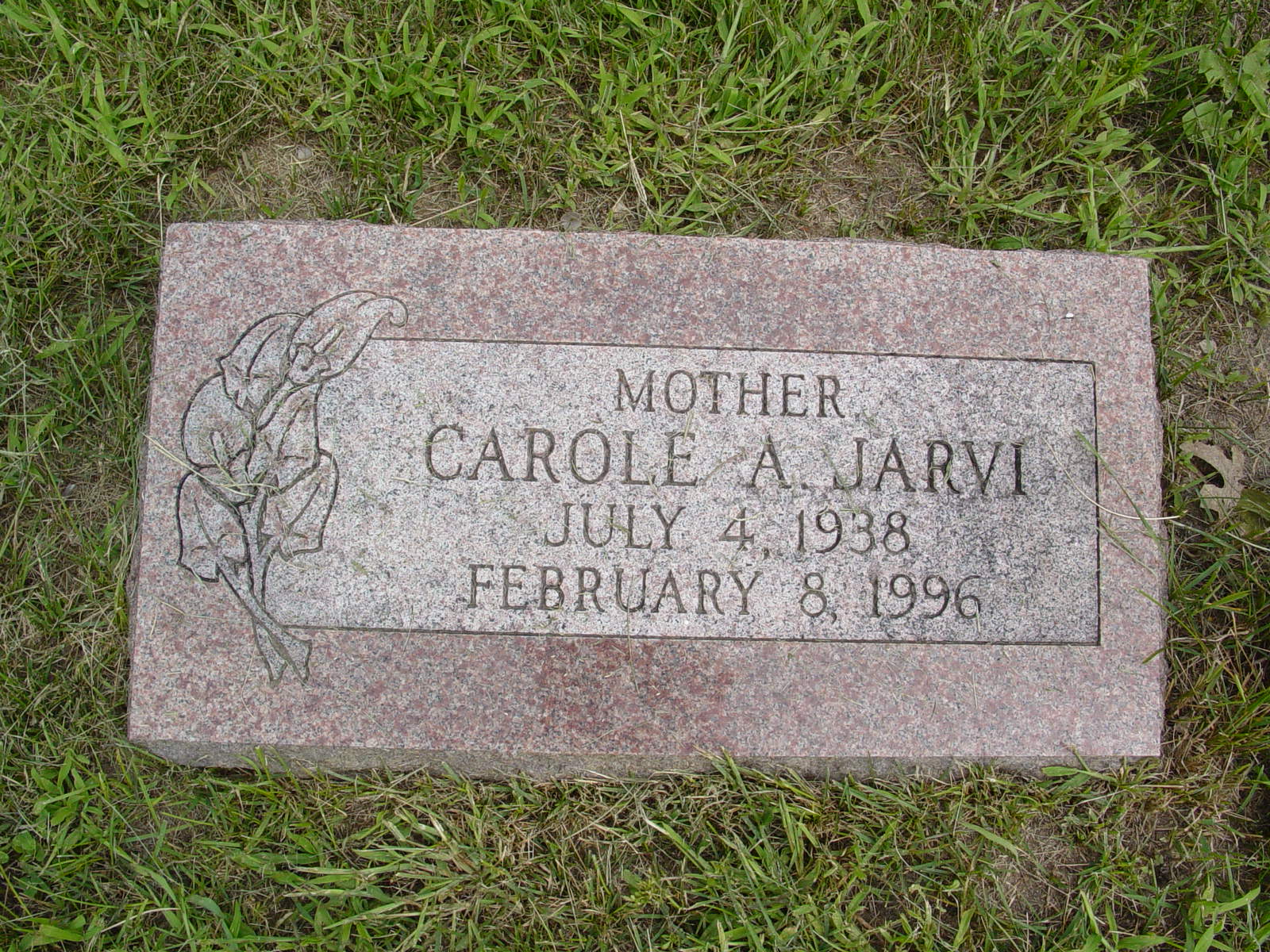 Portrait of Carole A Jarvi