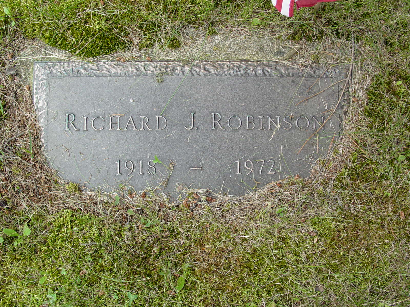 Portrait of Richard J Robinson